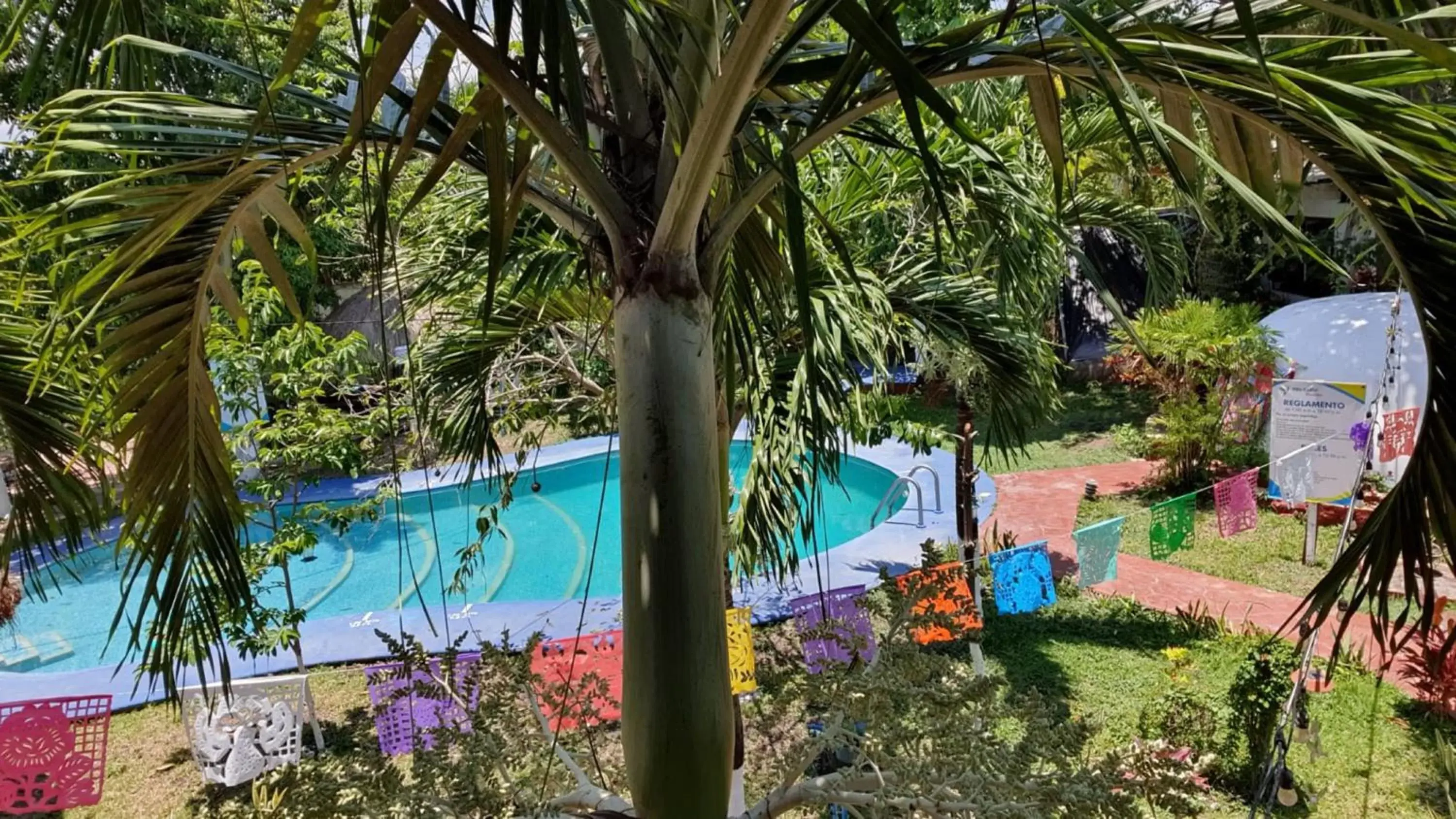 Garden, Pool View in Cabañas Colibrí
