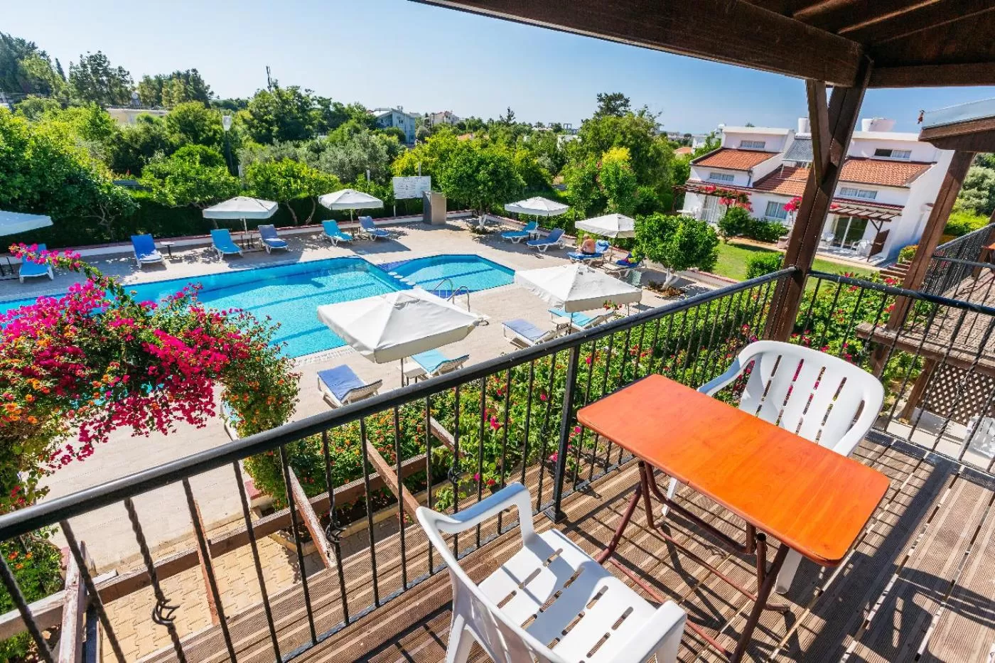 Pool view in Citrus Tree Gardens