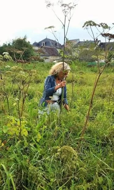 Property building in Manoir de la Rémonière