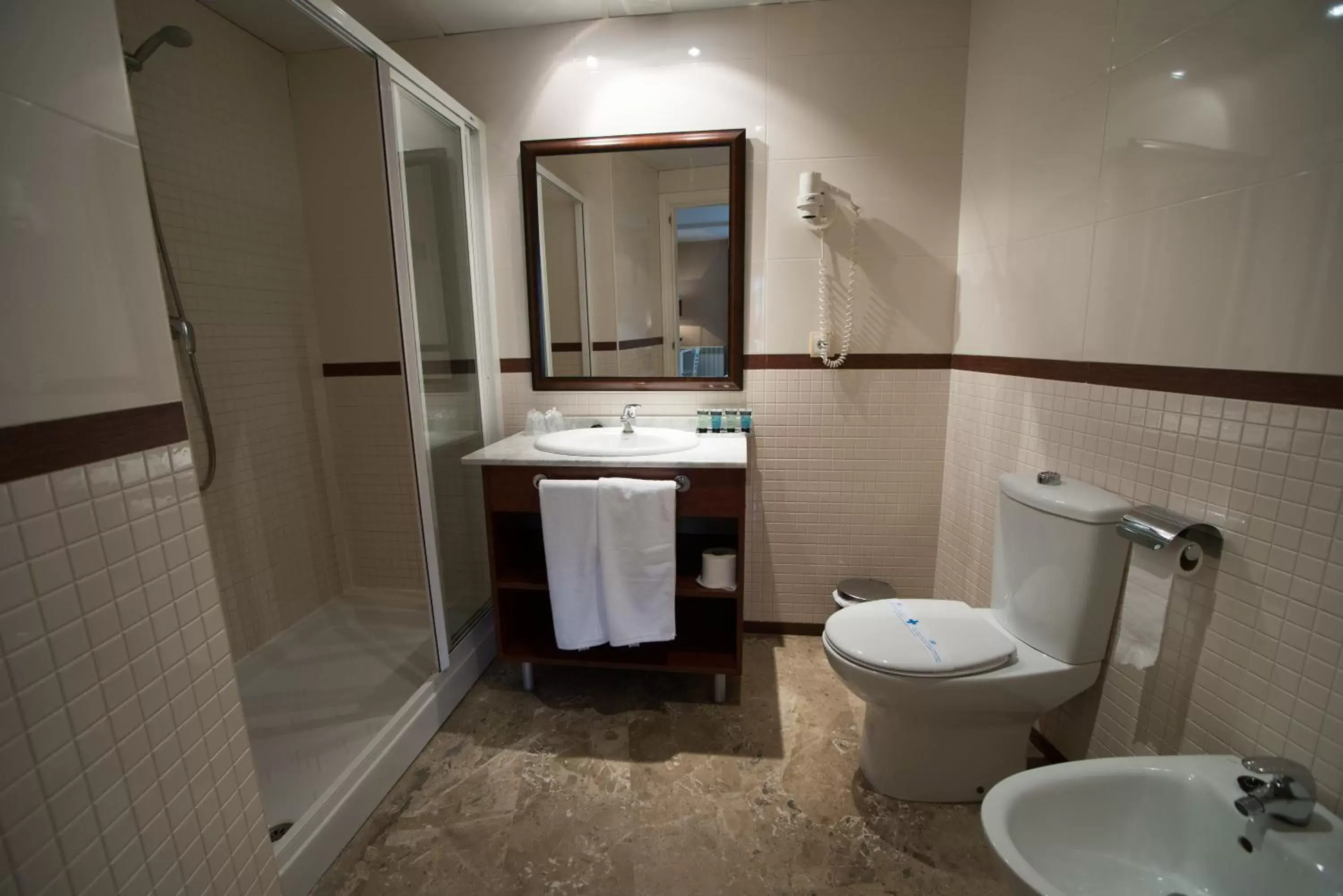 Photo of the whole room, Bathroom in Sercotel Torico Plaza