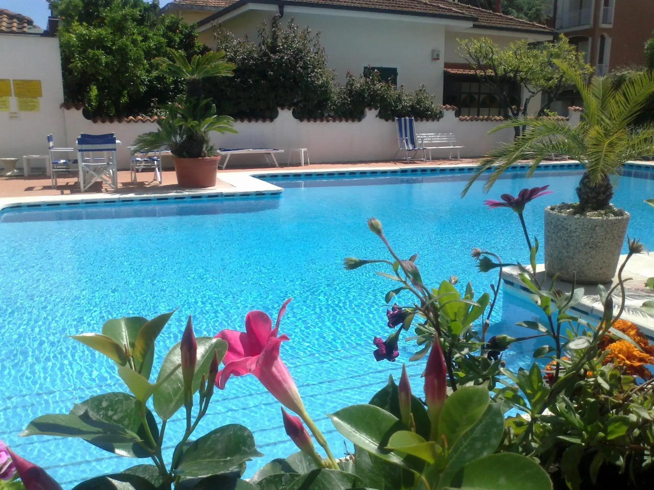 Day, Swimming Pool in Hotel Splendid