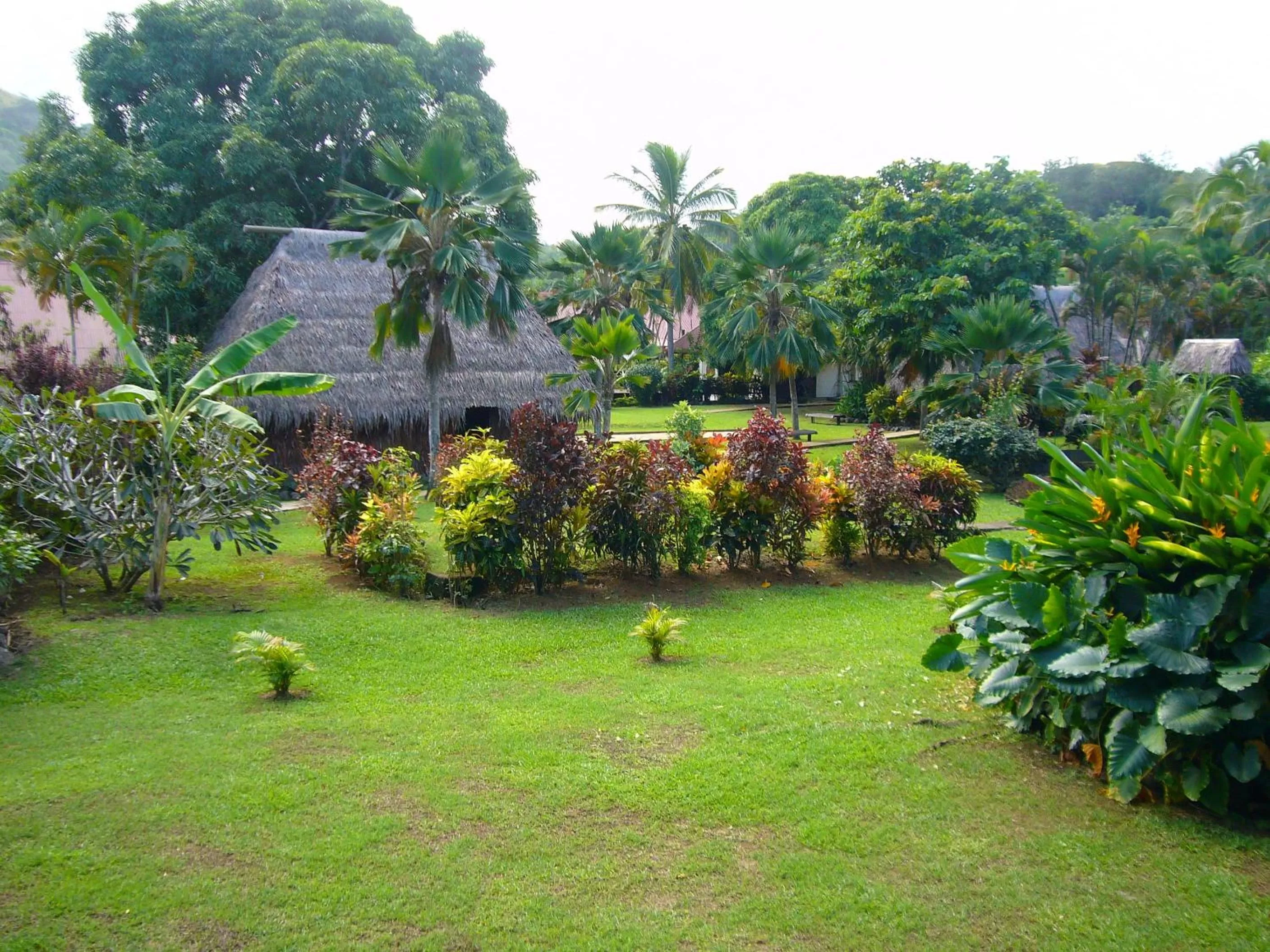 Garden in Gecko's Resort