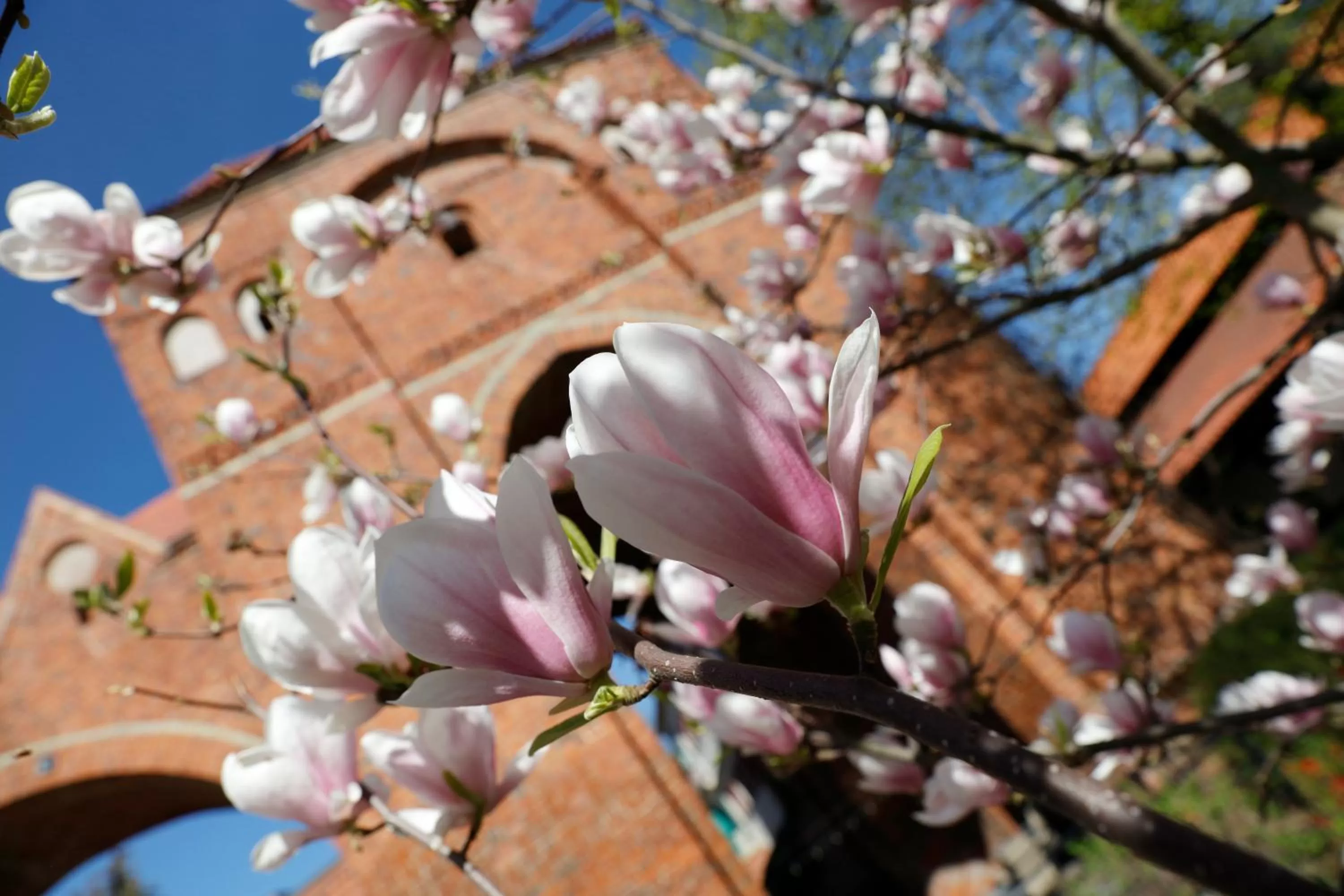 Decorative detail in Hotel 1231