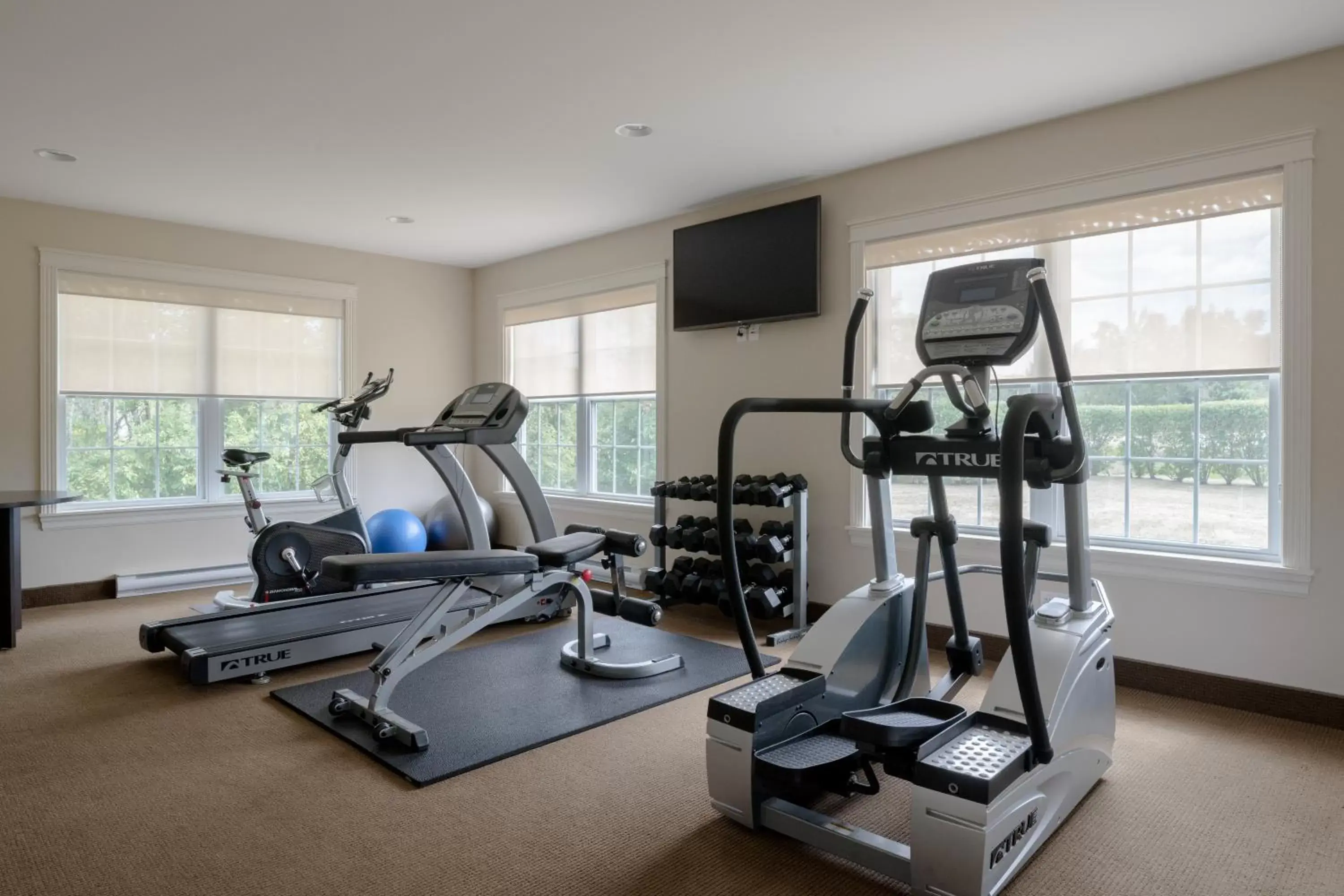 Fitness Center/Facilities in Amsterdam Inn & Suites Sussex