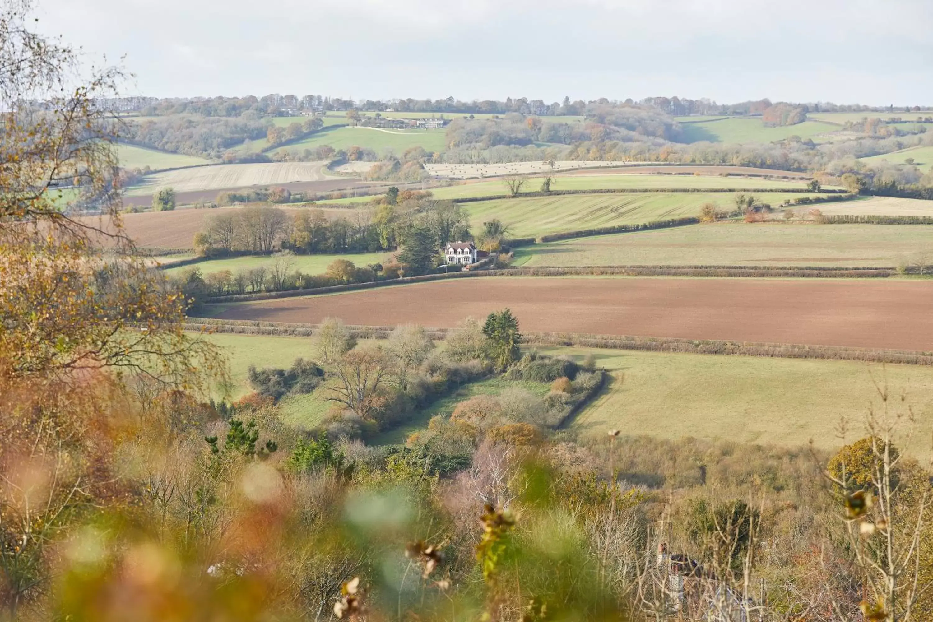 Bird's eye view in The Quarrymans Arms