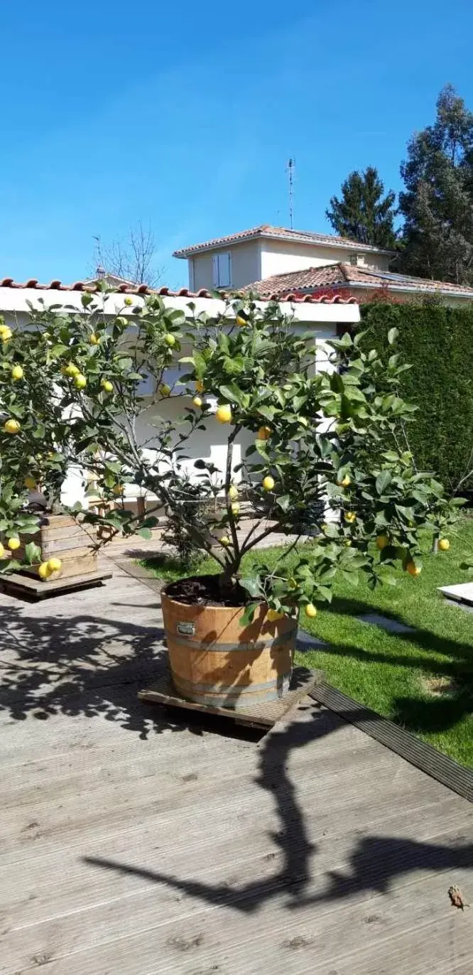 Garden, Property Building in Chez Jeanfi