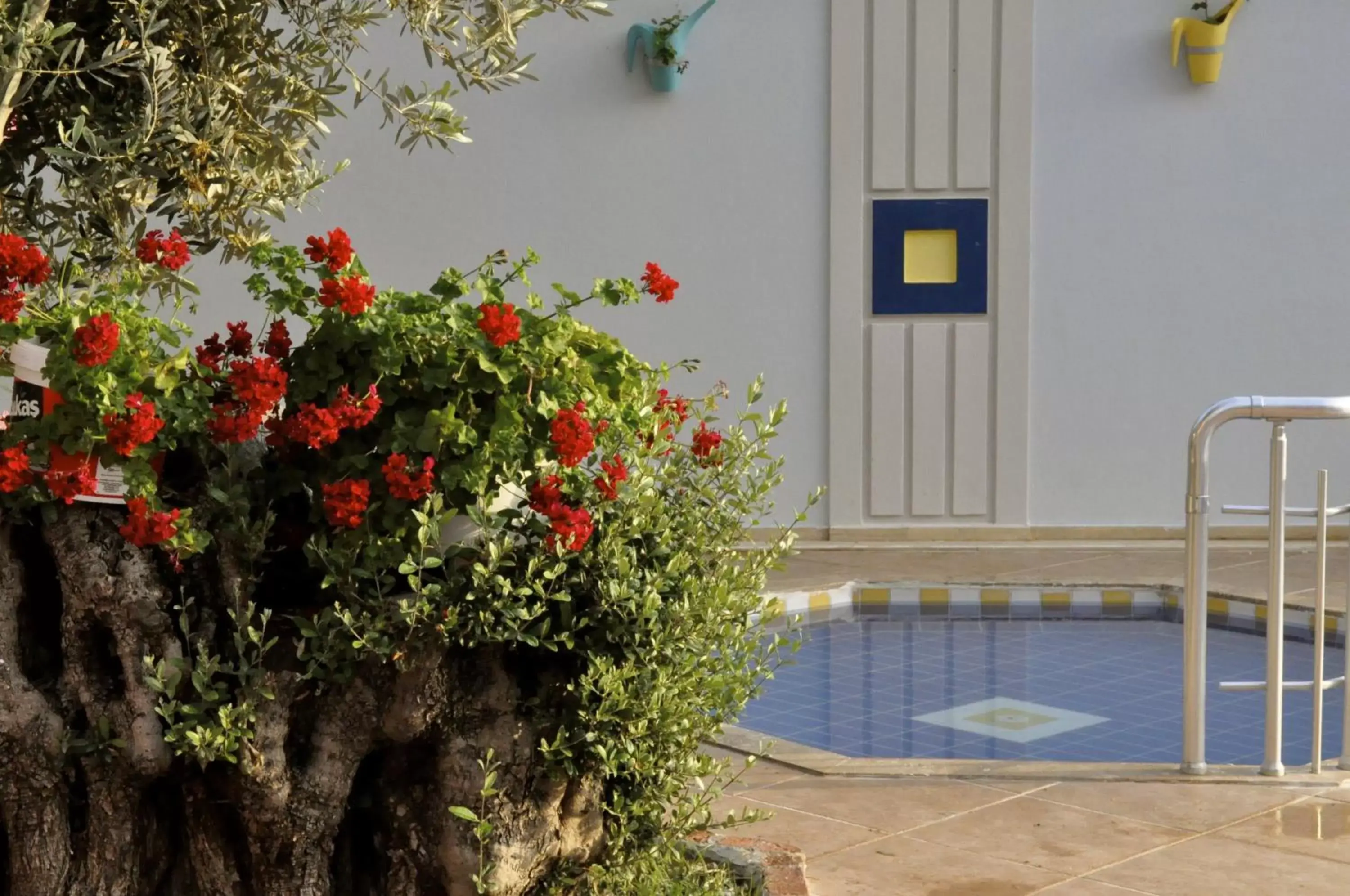 Swimming pool in Magic Tulip Beach Hotel Swimming pool in Magic Tulip Beach Hotel