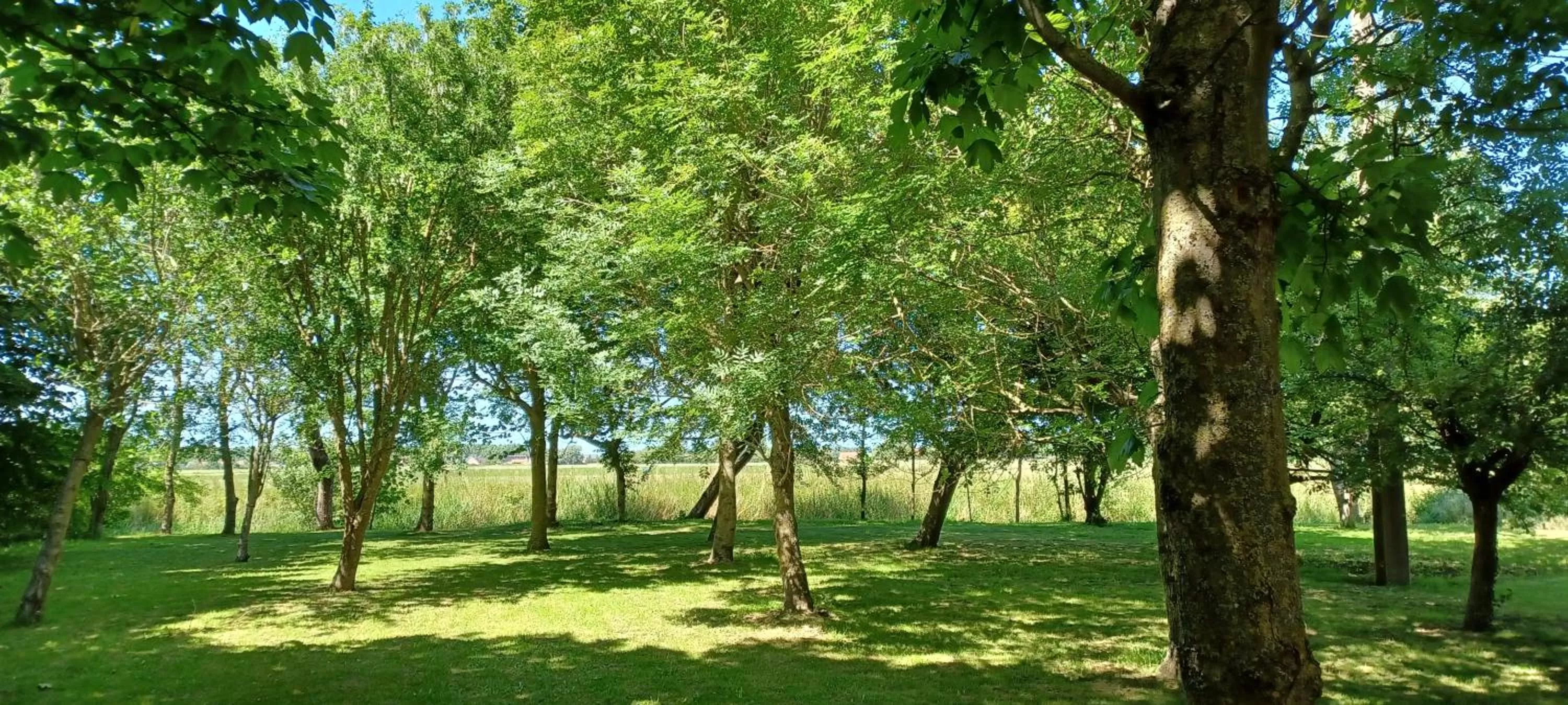 Garden in La Carte Postale