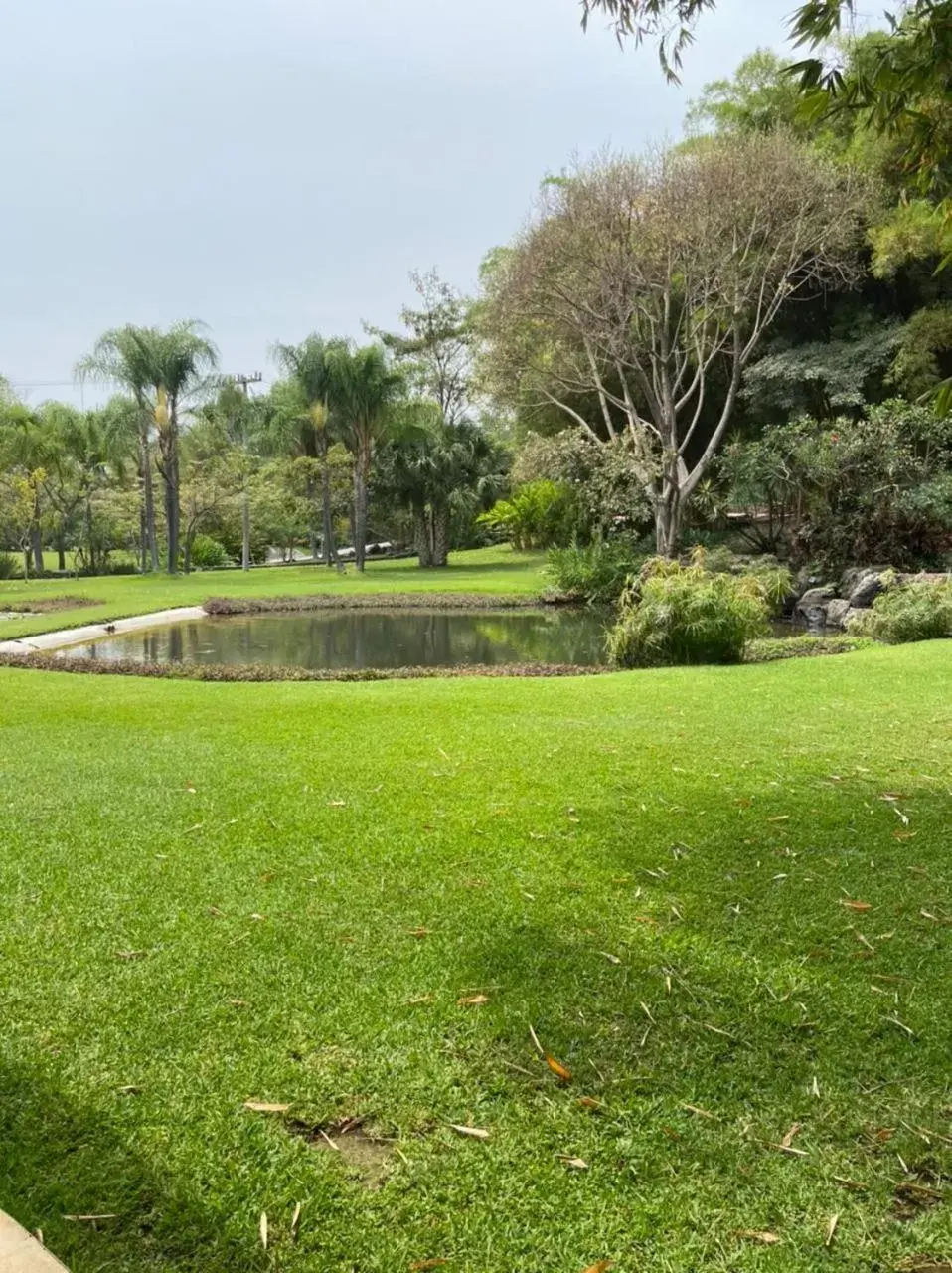 Garden in Huayacán Cuernavaca Curamoria Collection