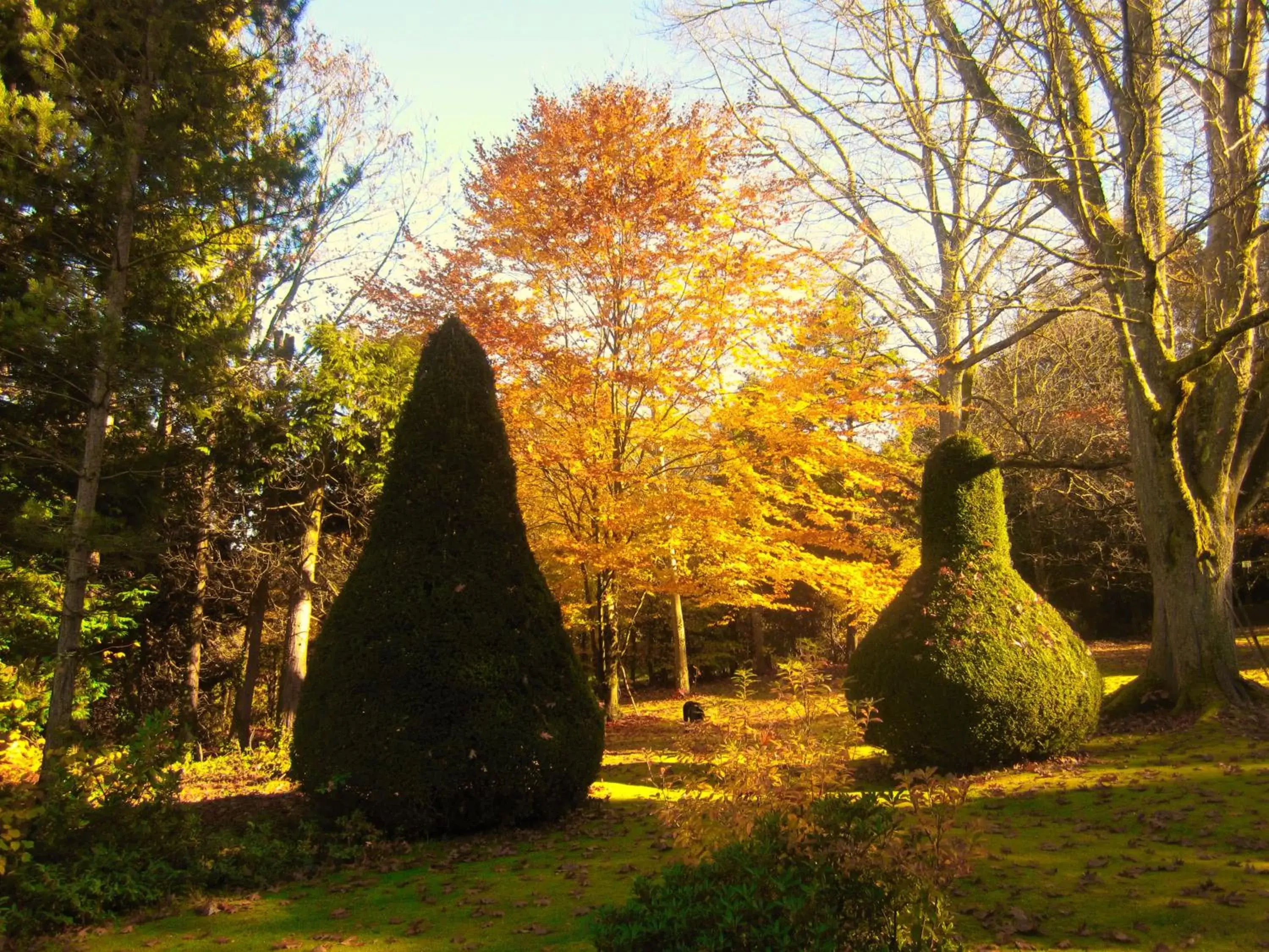 Day, Garden in La Croix du Reh