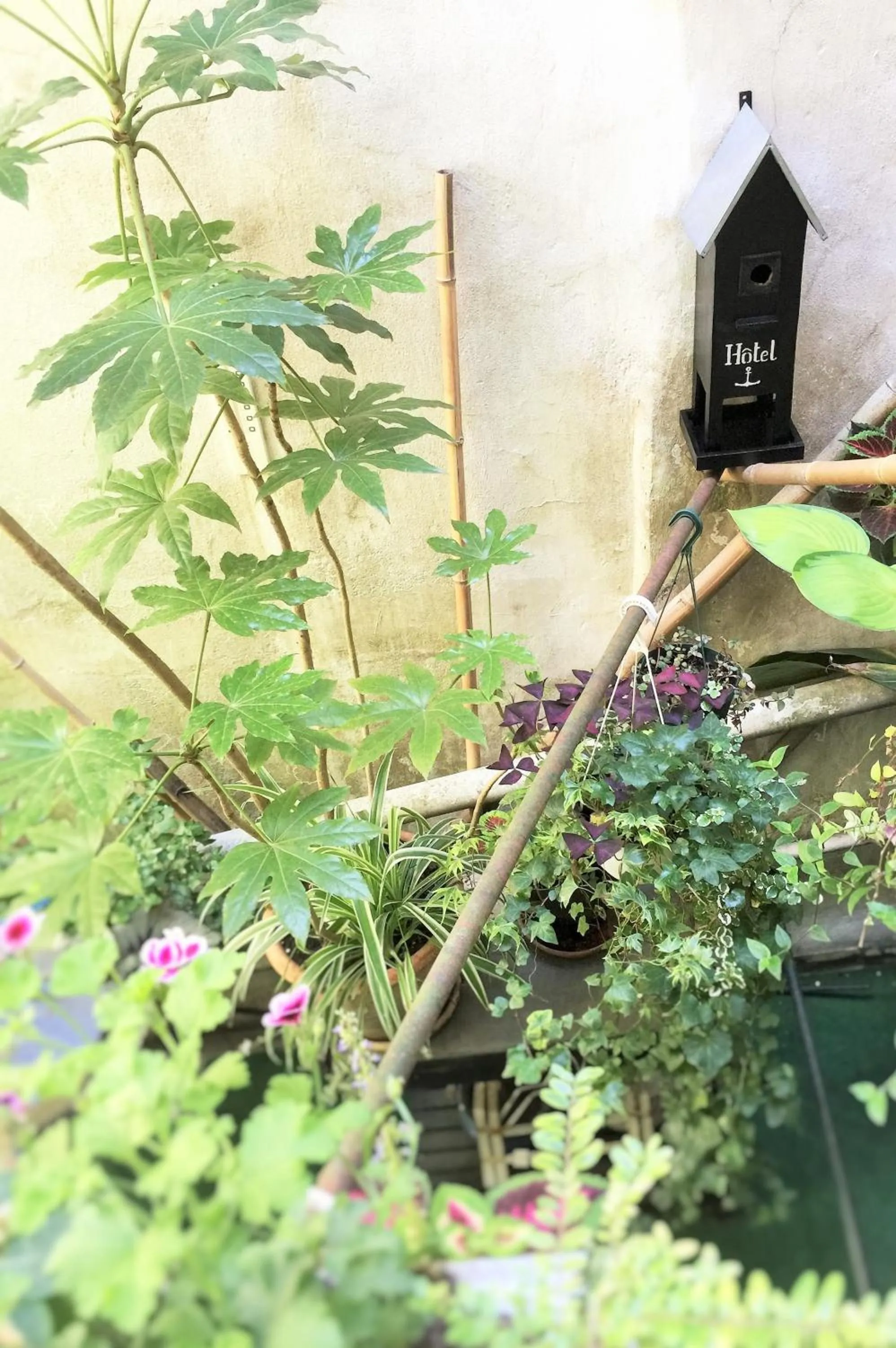 Patio in Hotel La Marine, Vieux Port