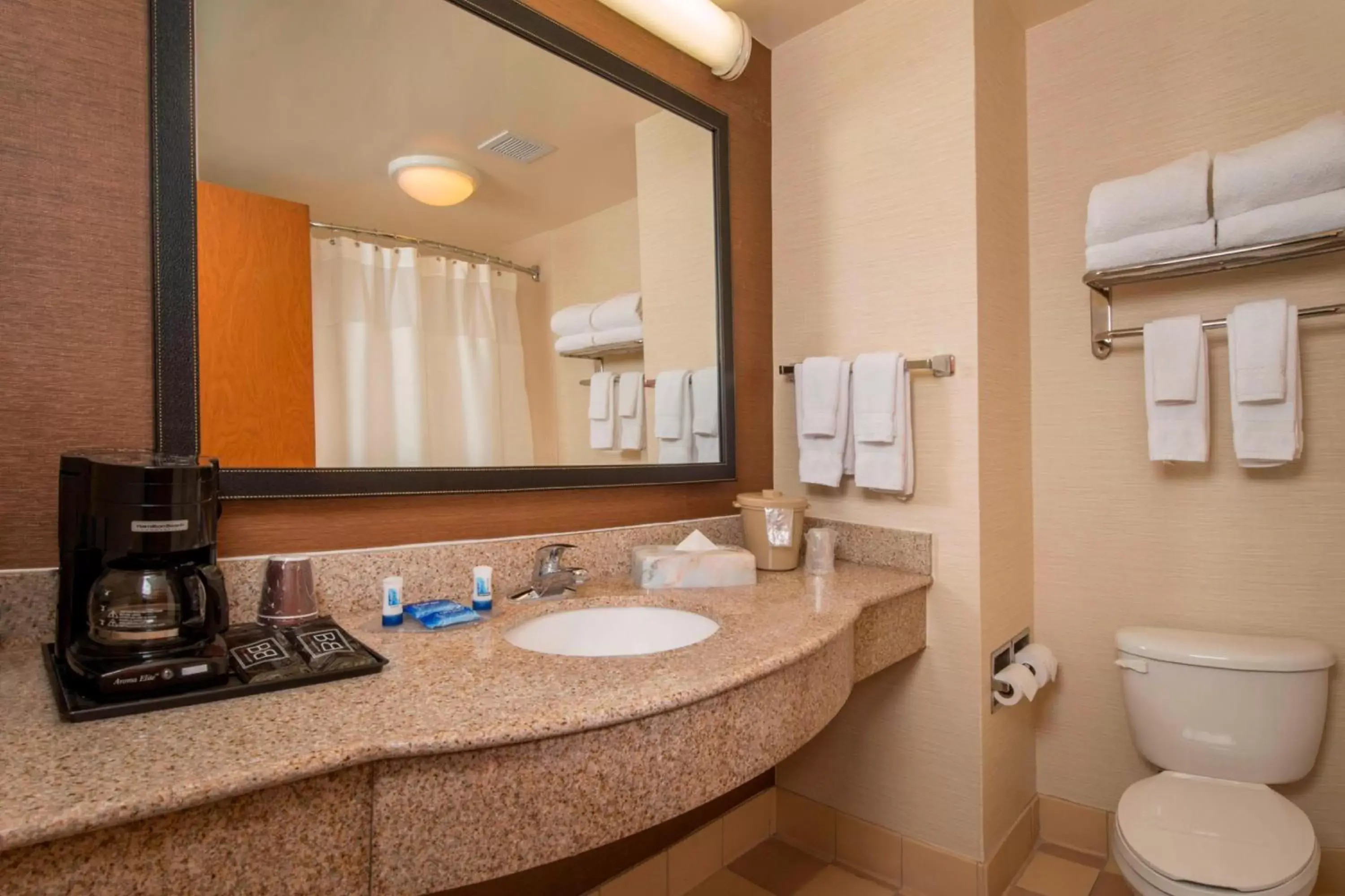 Bathroom in Fairfield Inn & Suites by Marriott Williamsburg