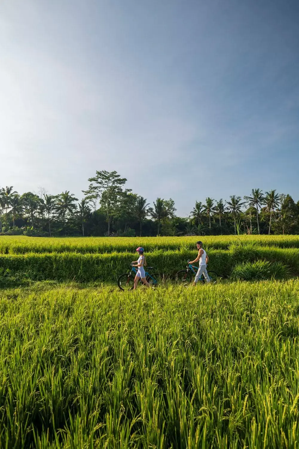 Activities, Other Animals in The Sun of Granary Resort and Villas