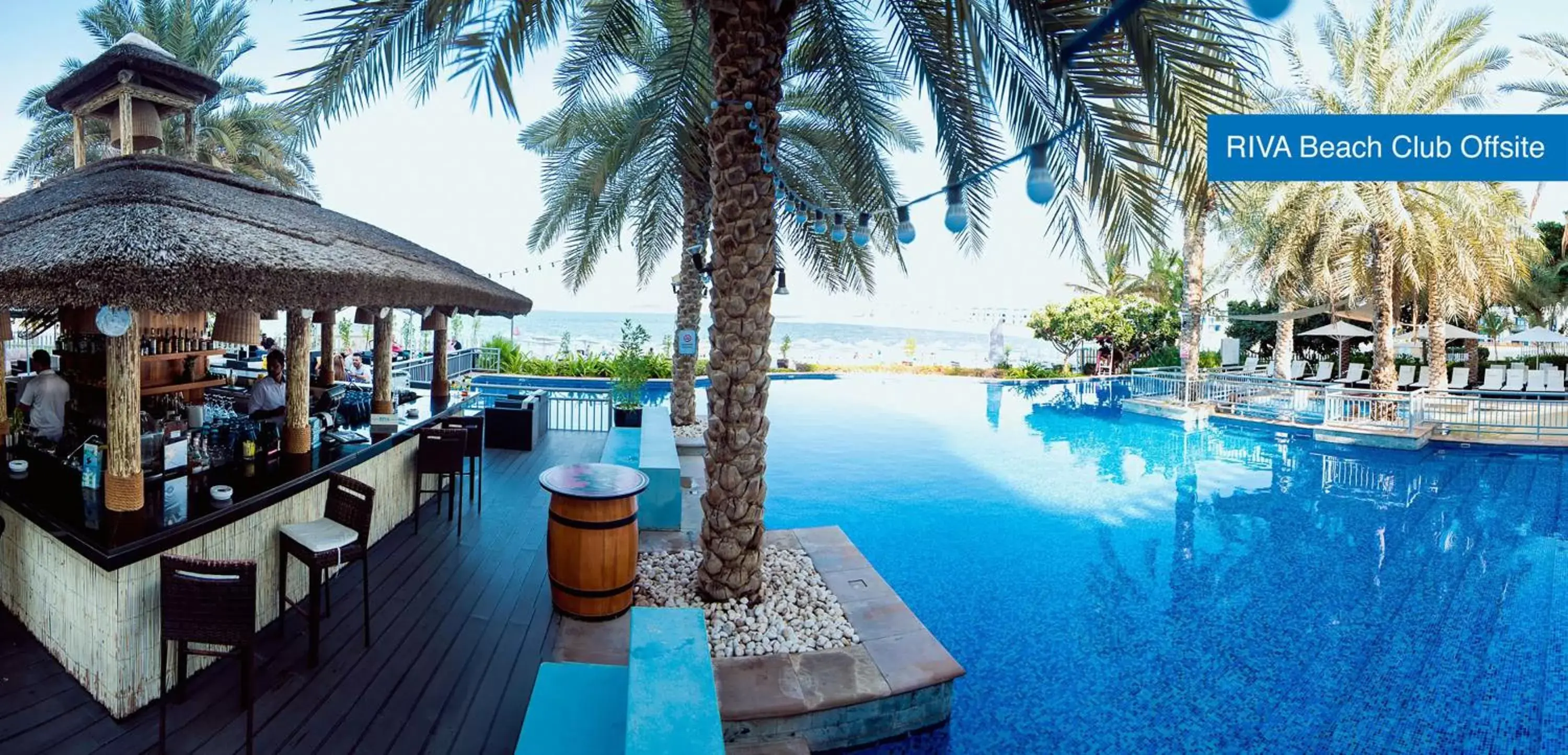 Beach, Swimming Pool in Mövenpick Hotel Jumeirah Lakes Towers Dubai