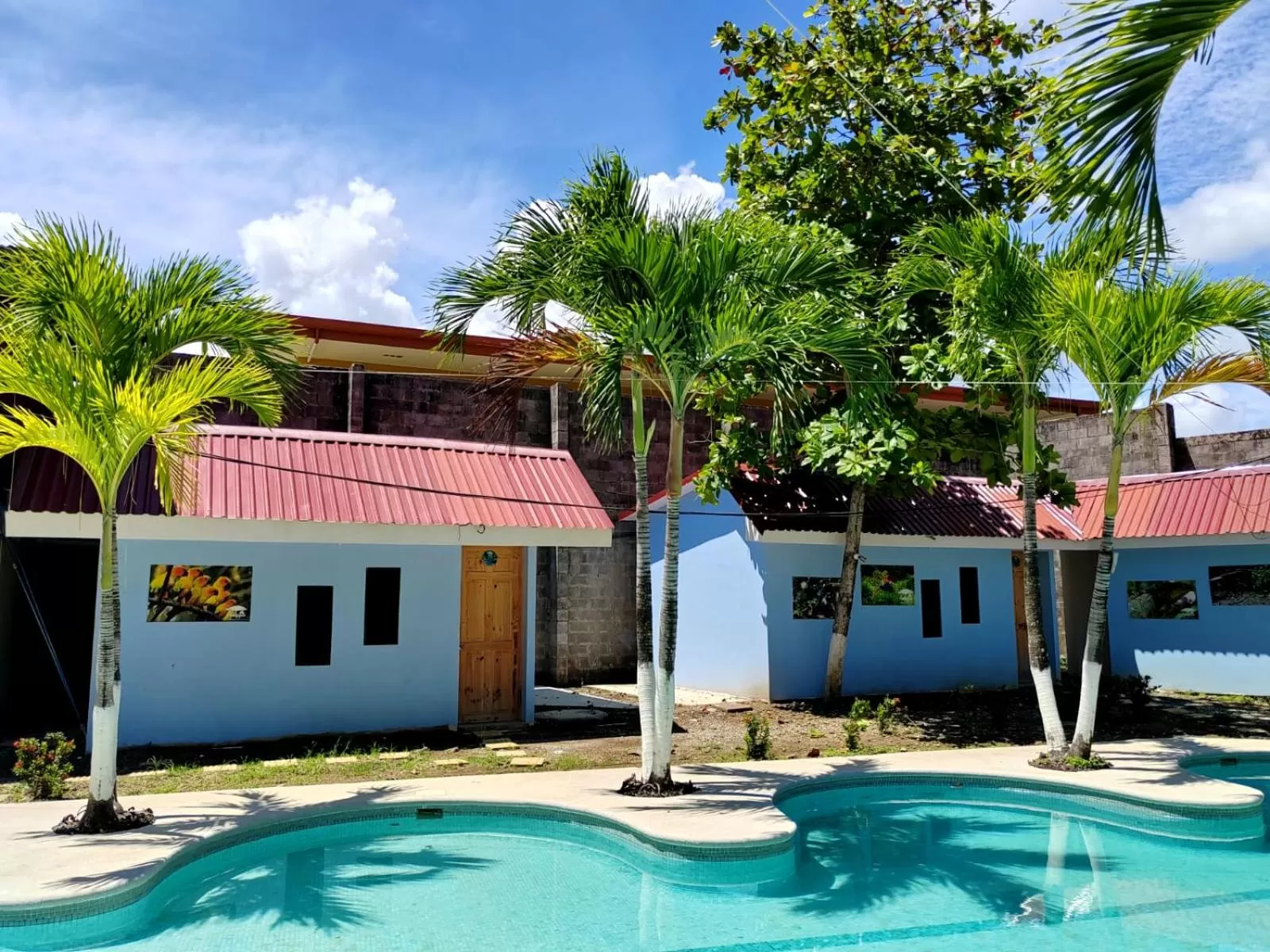 Property building, Swimming Pool in Hotel Catappa