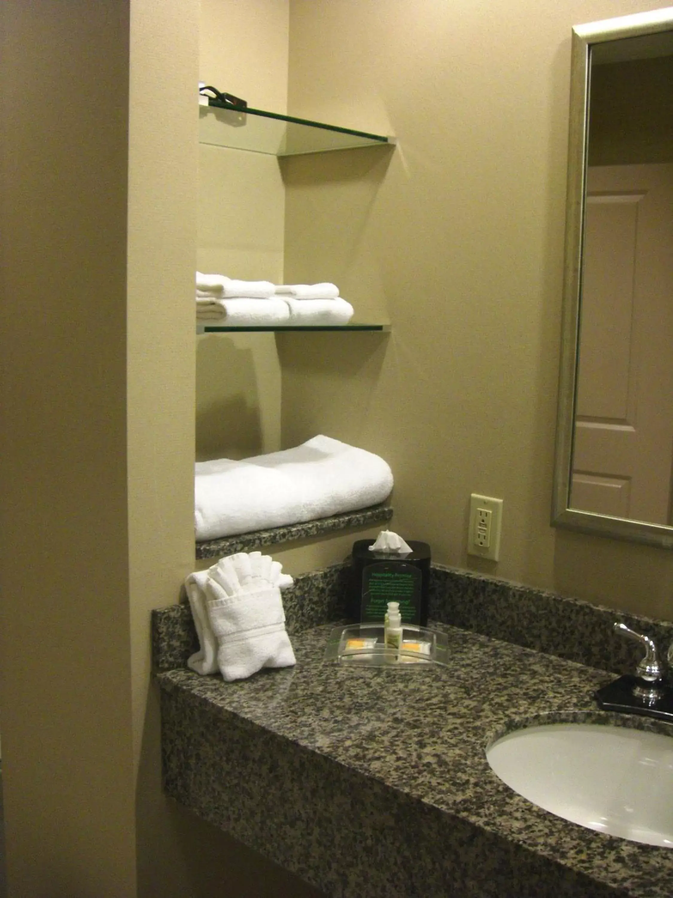 Bathroom in Holiday Inn St. Paul Northeast - Lake Elmo, an IHG Hotel