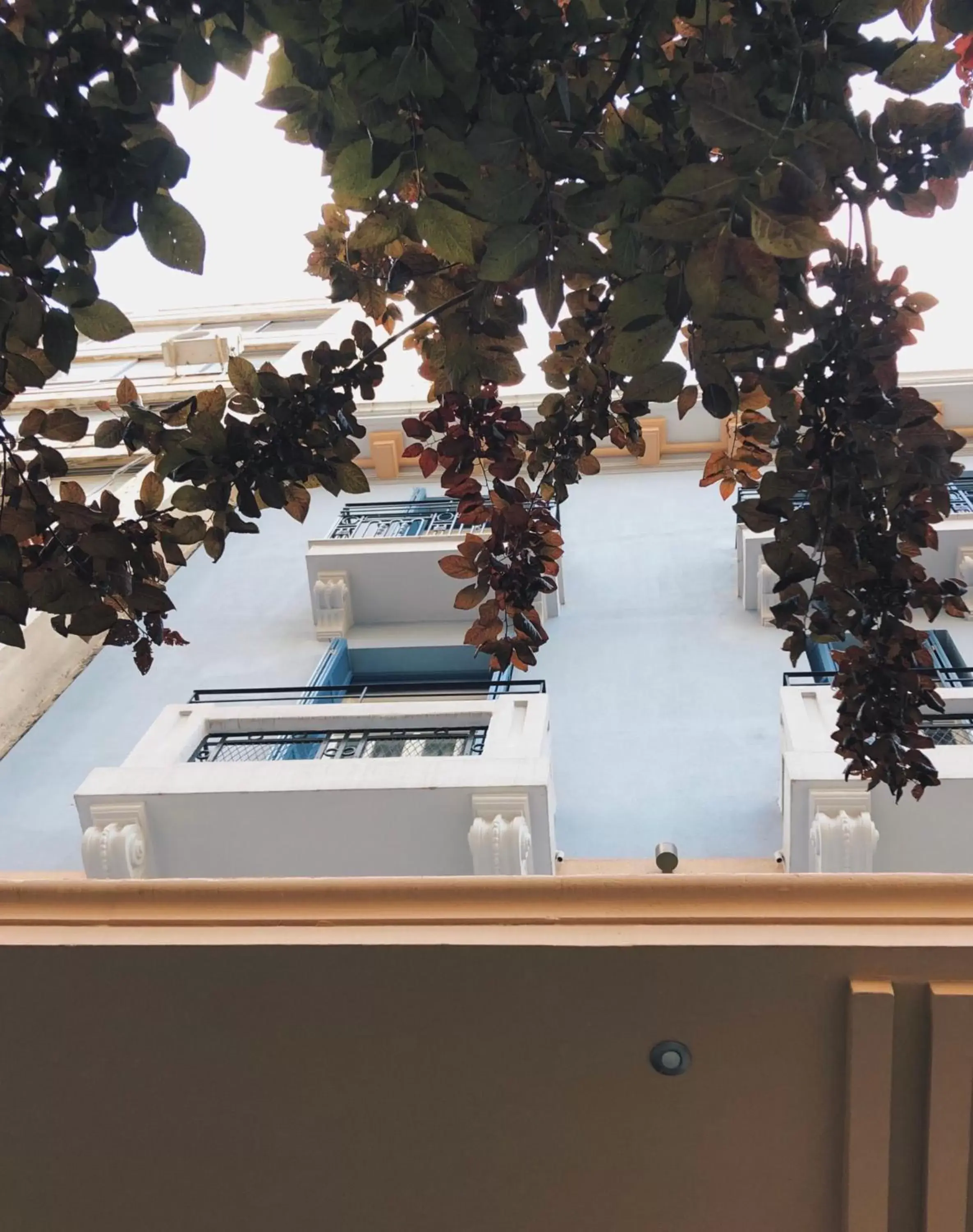Balcony/Terrace in Bahar Boutique Hotel