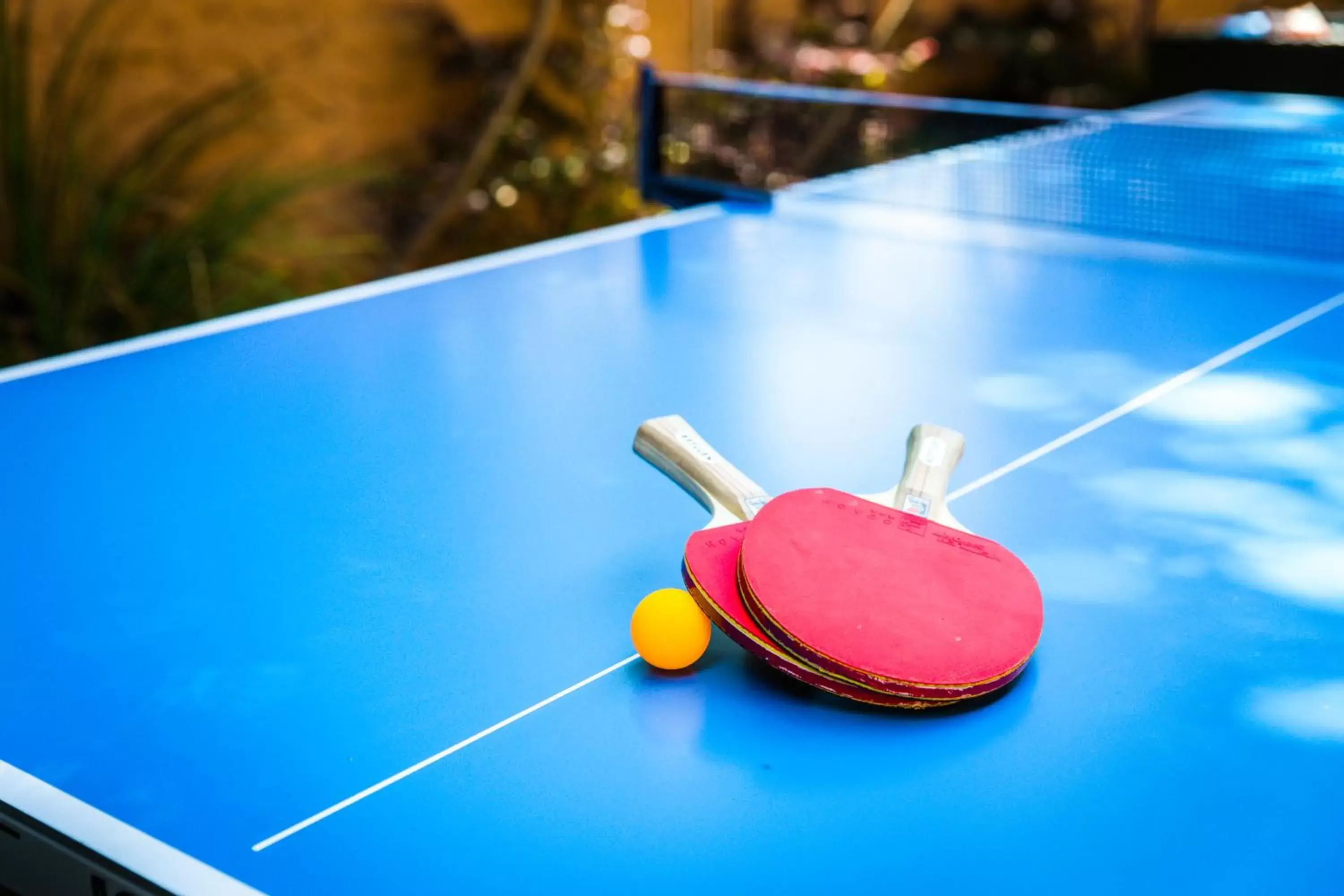 Table Tennis in Hotel Zico