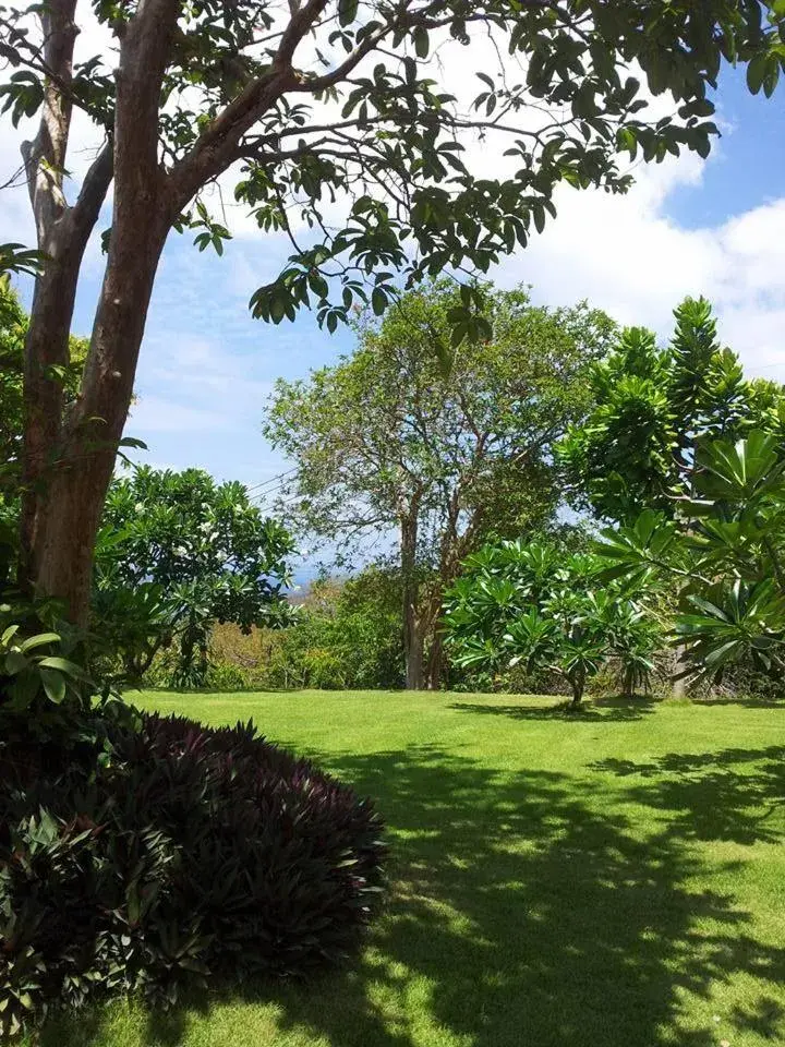 Garden in Baan KanTiang See Villas - SHA Extra Plus