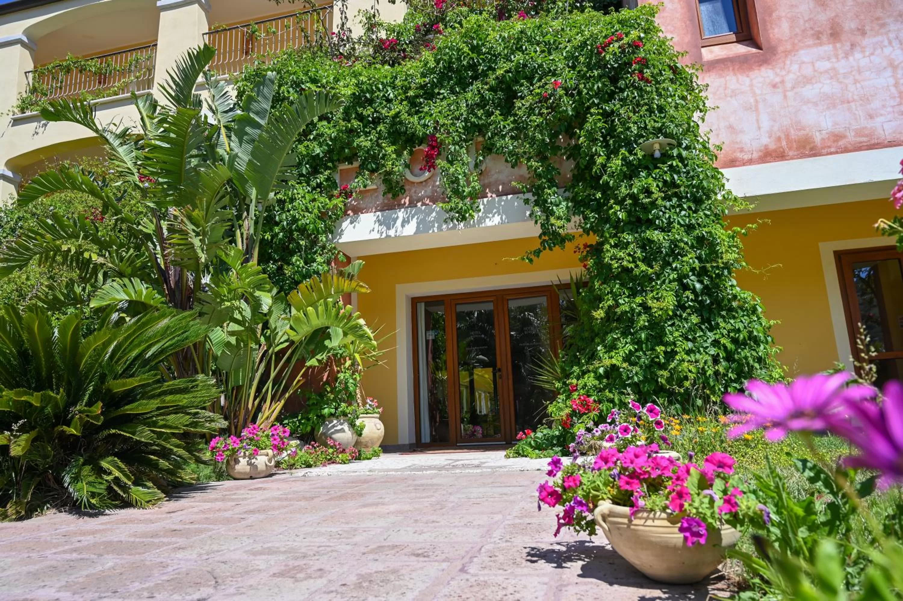 Facade/entrance in Hotel Baja Romantica