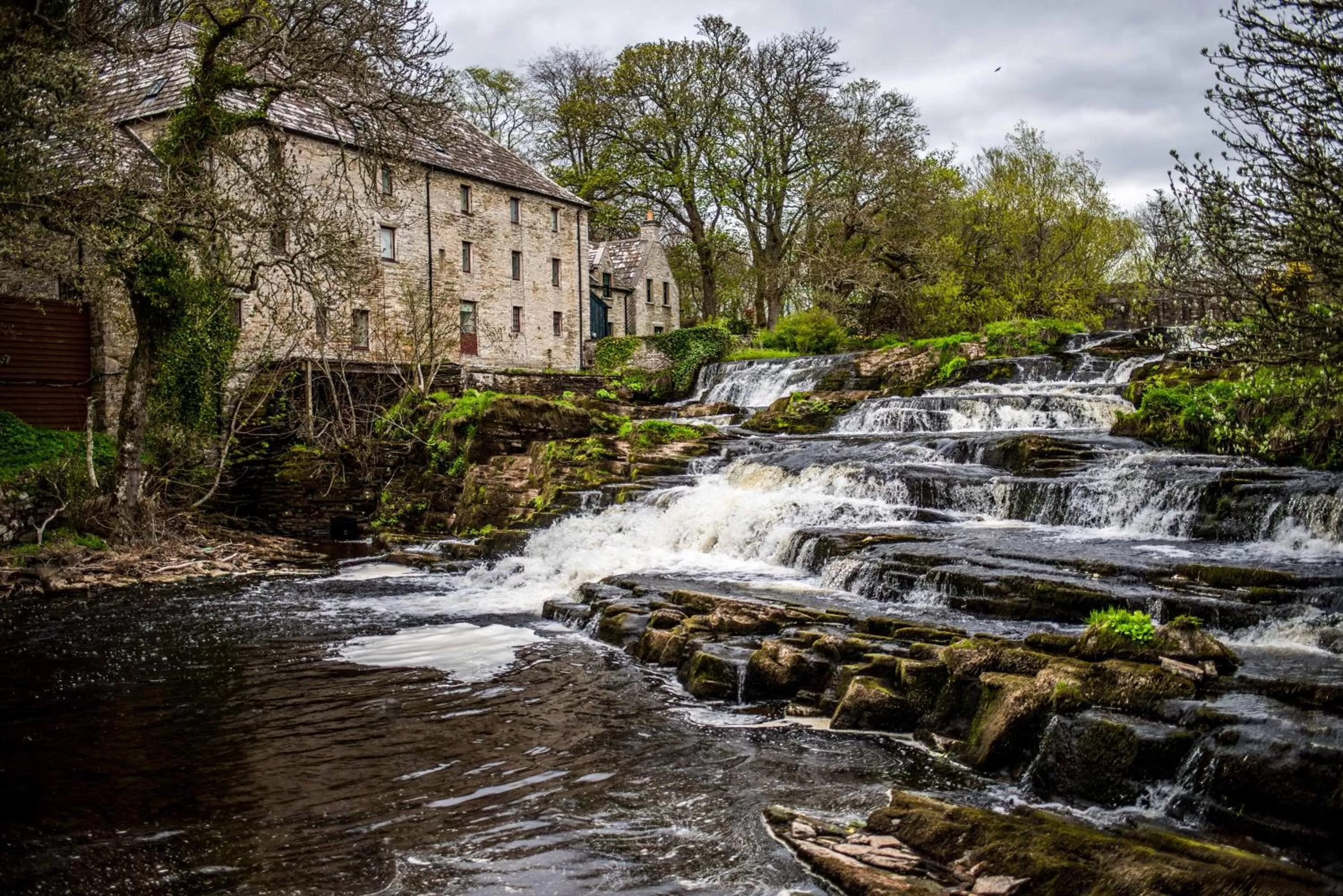 Natural landscape in Forss House