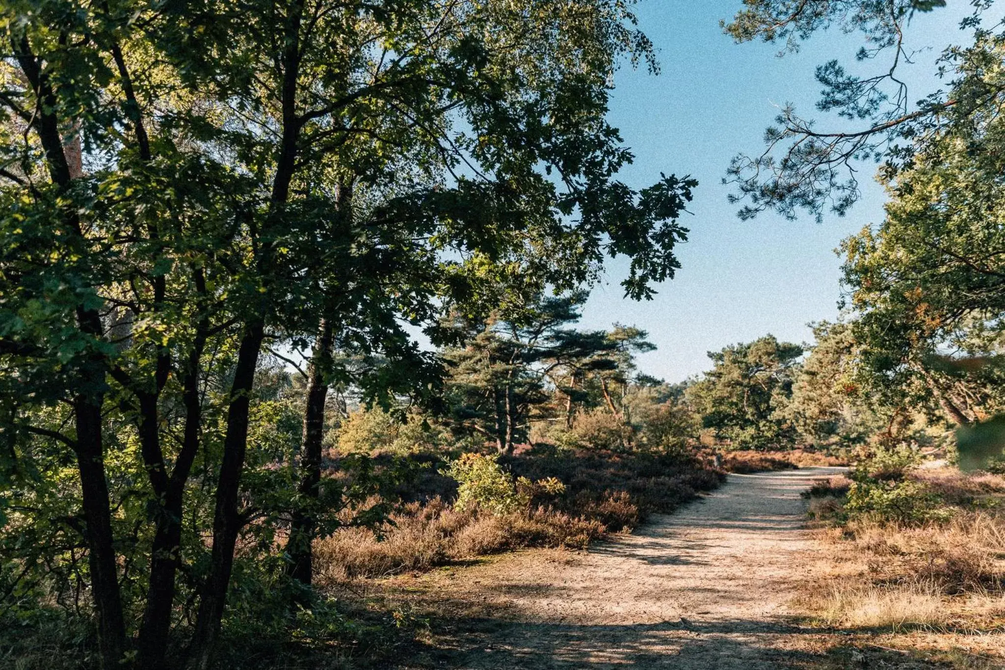 Neighbourhood in de Wever Lodge