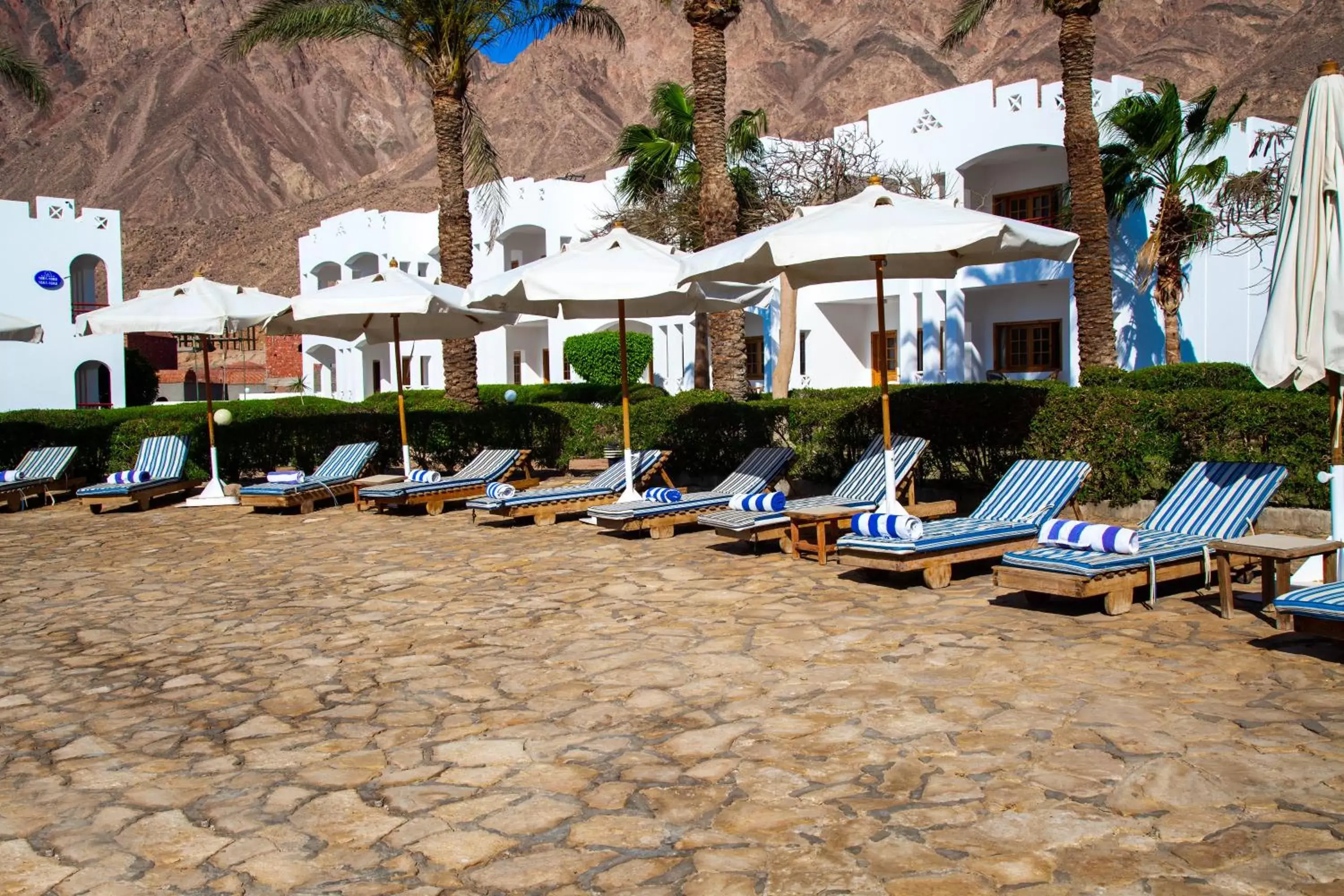 Beach, Swimming Pool in Happy Life Village Dahab