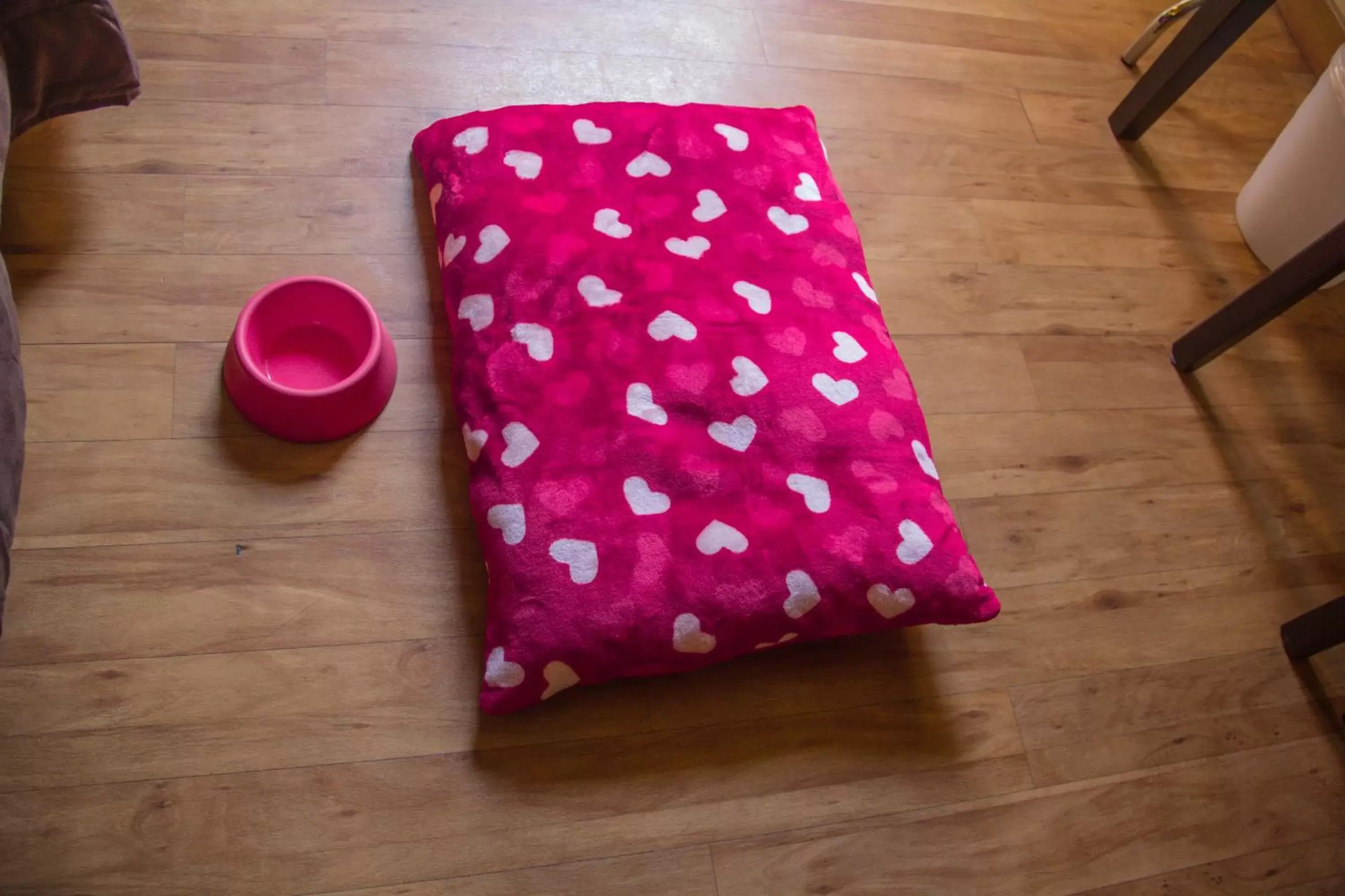 Animals, Bed in Hotel Novecento Animals, Bed in Hotel Novecento