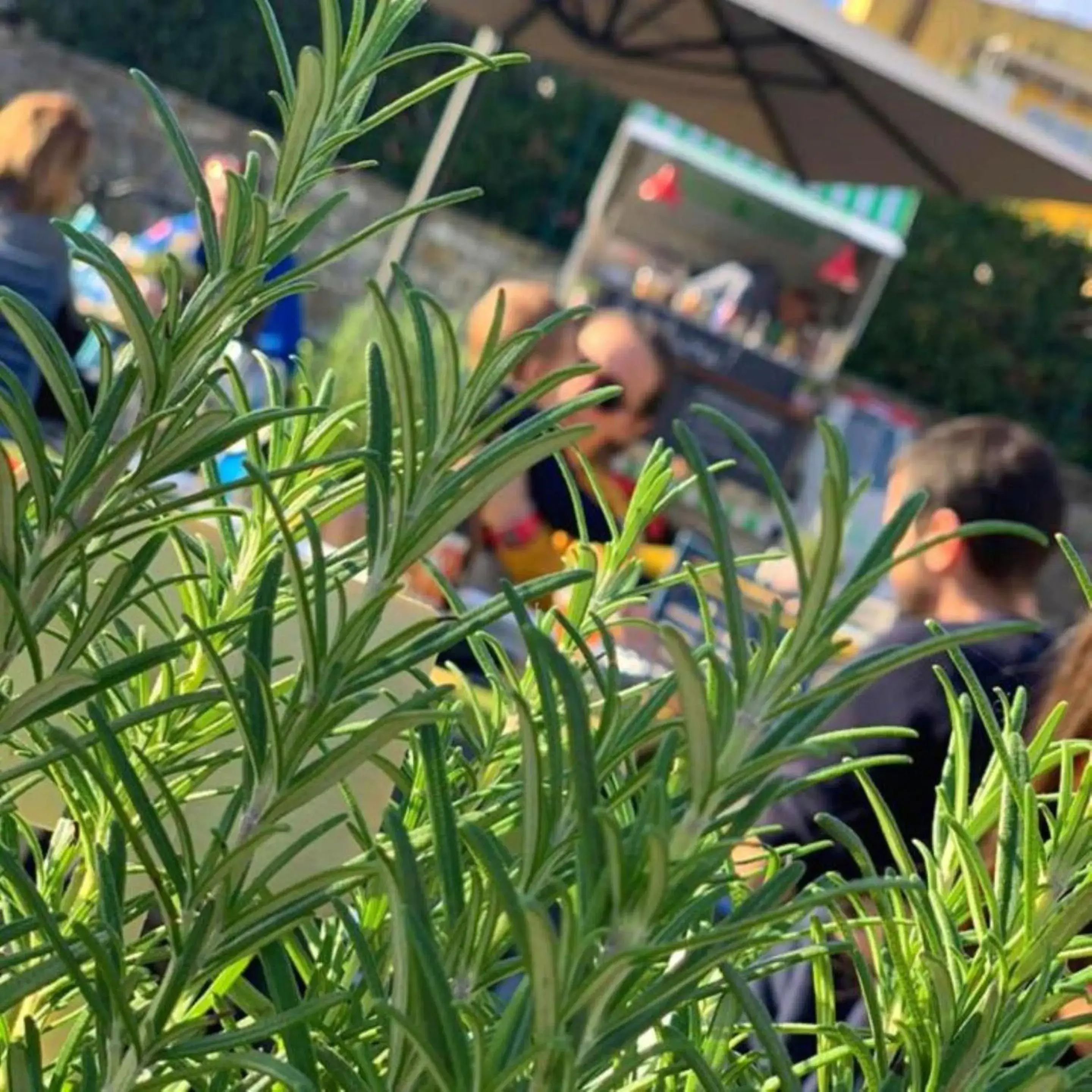 Property building in Best Western Hotel Anthurium Property building in Best Western Hotel Anthurium