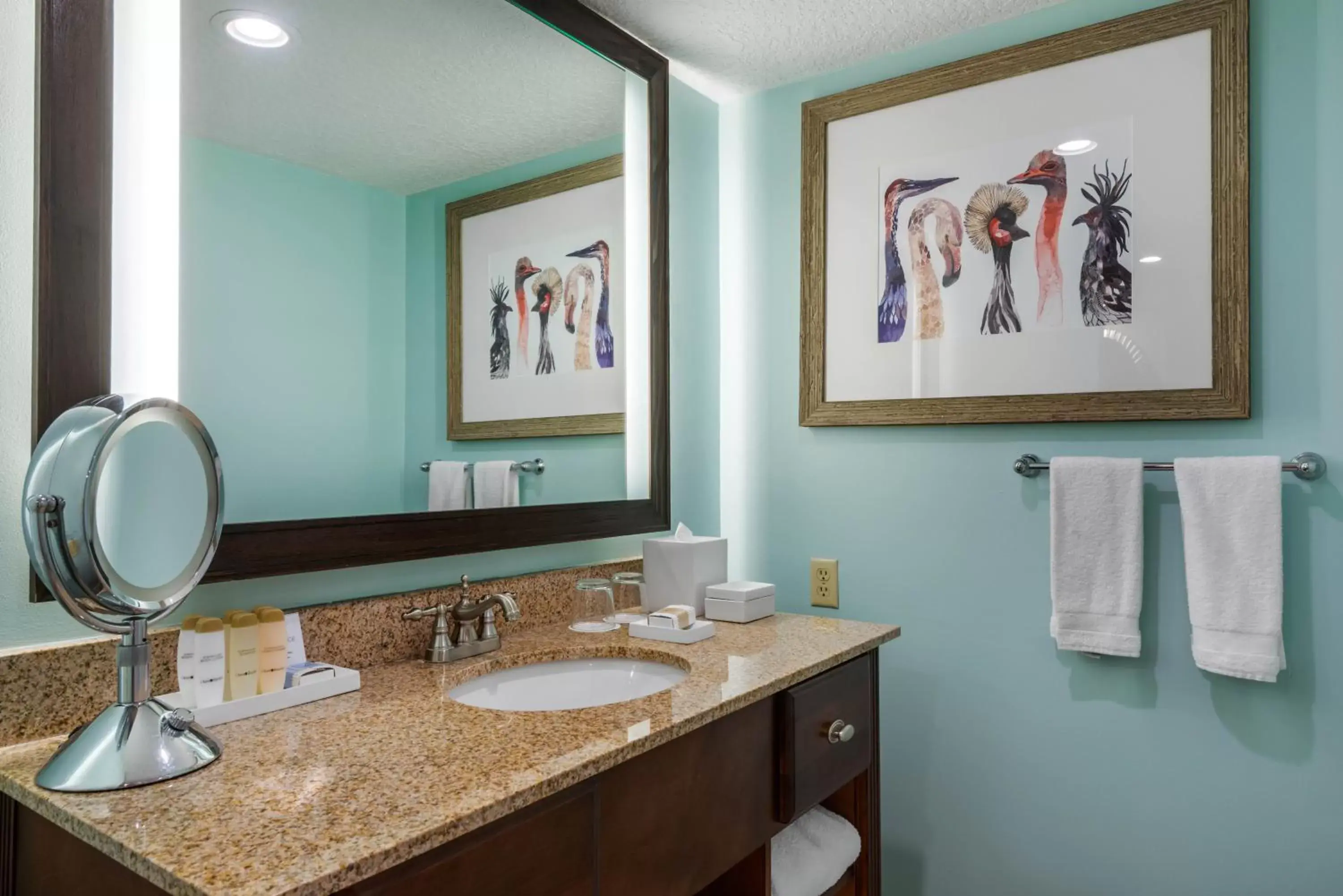 Bathroom in Omni Amelia Island Resort