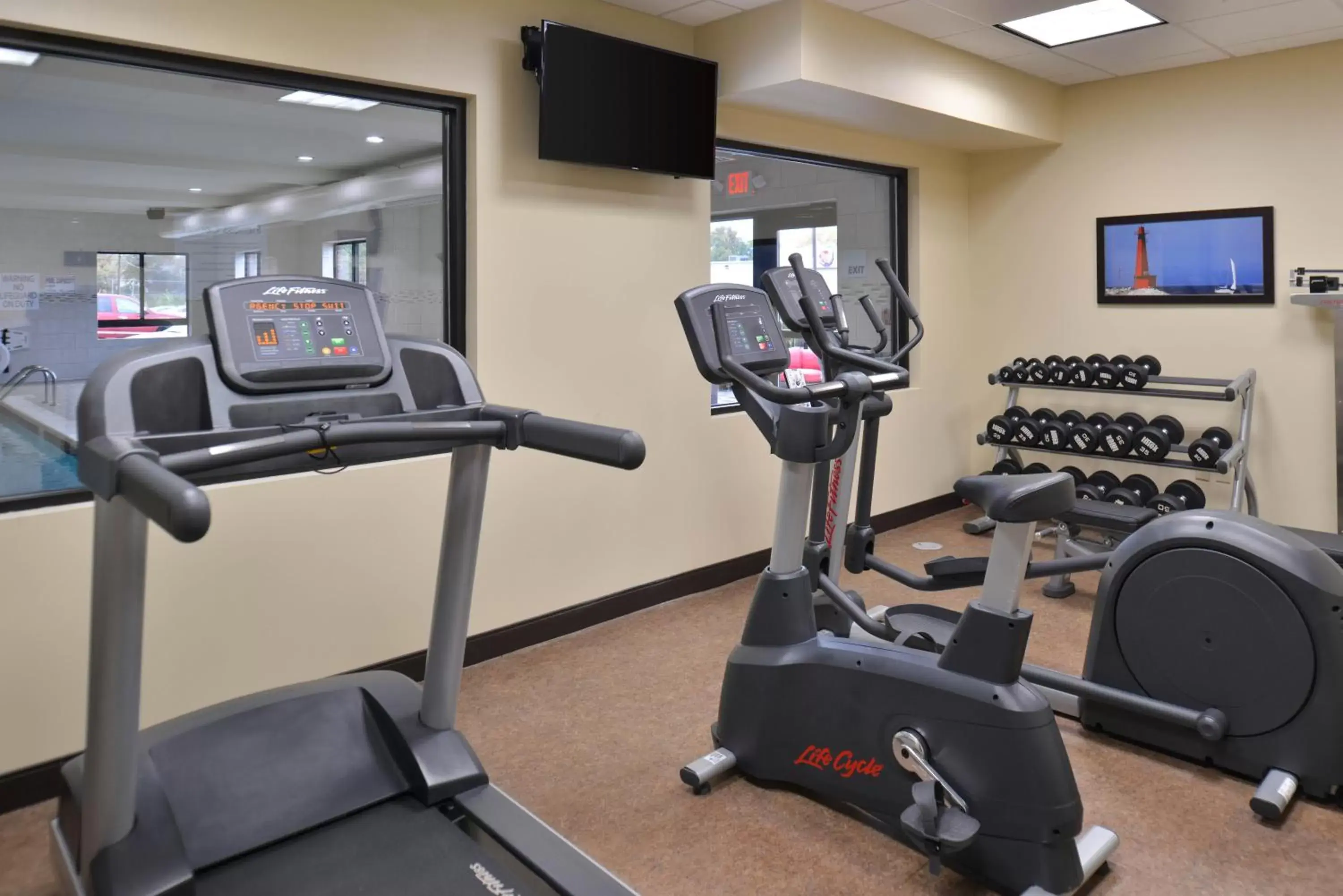 Spa and wellness centre/facilities, Fitness Center/Facilities in Holiday Inn Express & Suites Dearborn SW - Detroit Area, an IHG Hotel