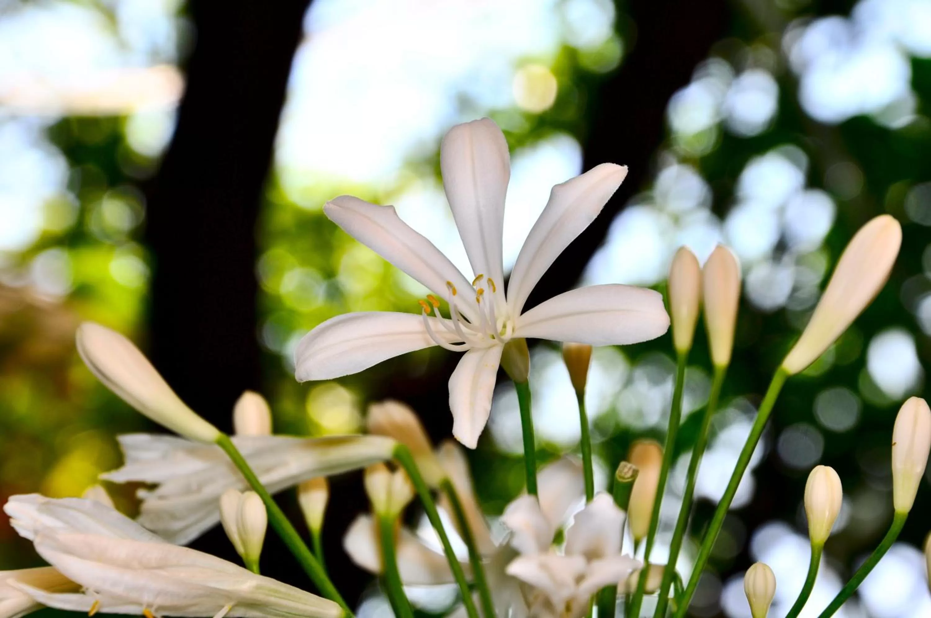 Garden in Locanda Villa Moderna