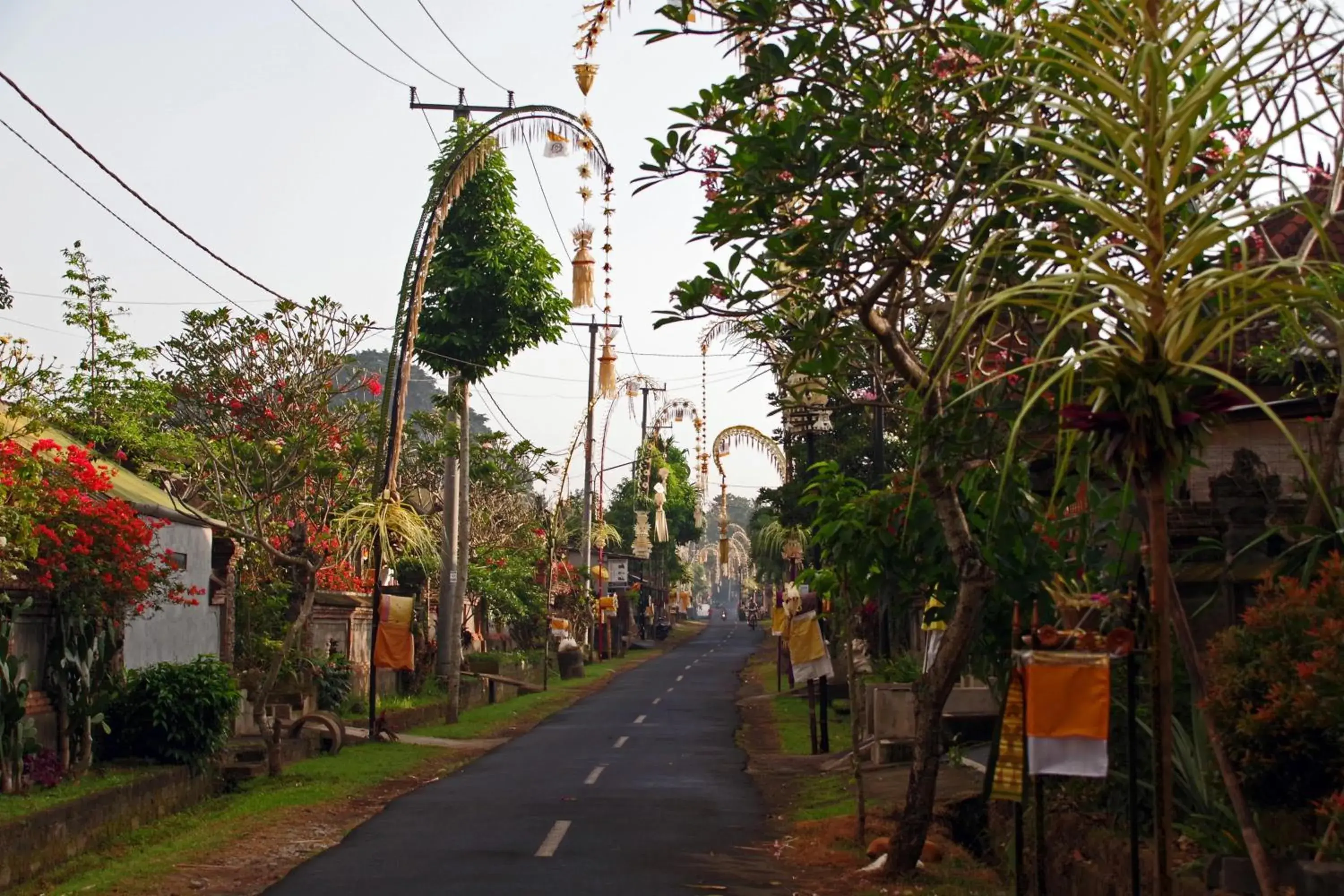 Neighbourhood in Ubad Retreat, A Local Family Run Hotel