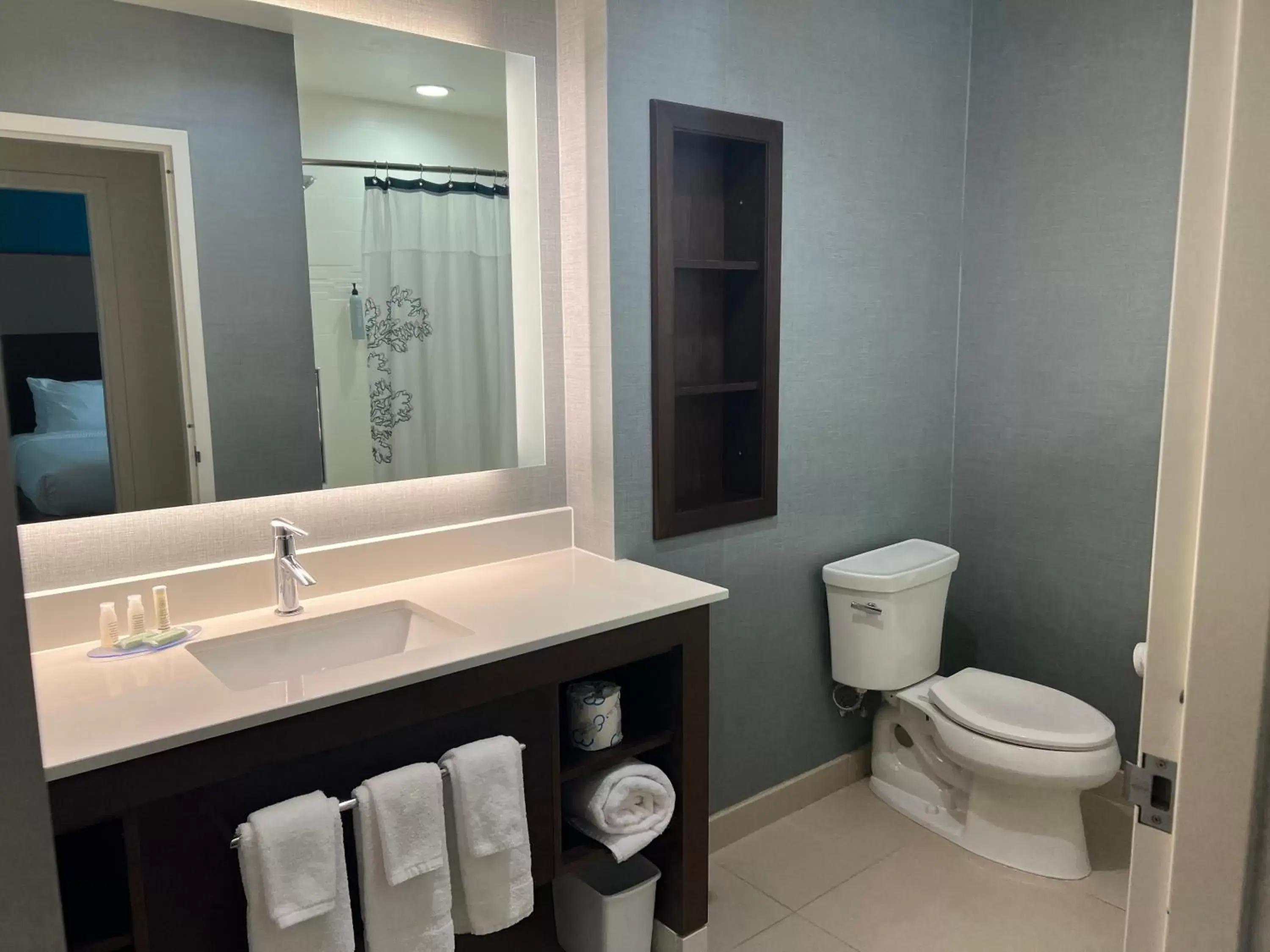 Bathroom in Residence Inn by Marriott Oklahoma City North/Quail Springs