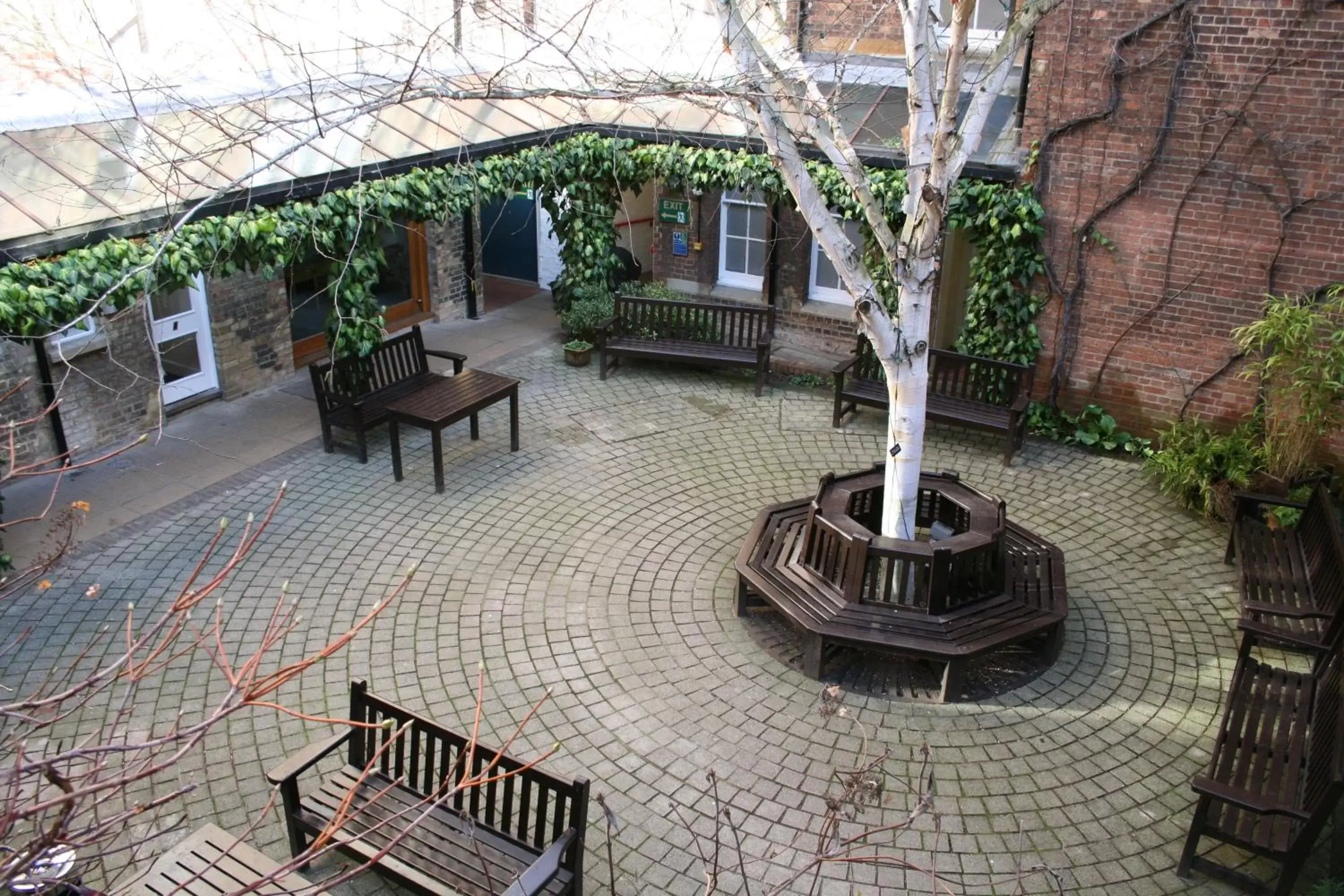 Garden in Rewley House University of Oxford