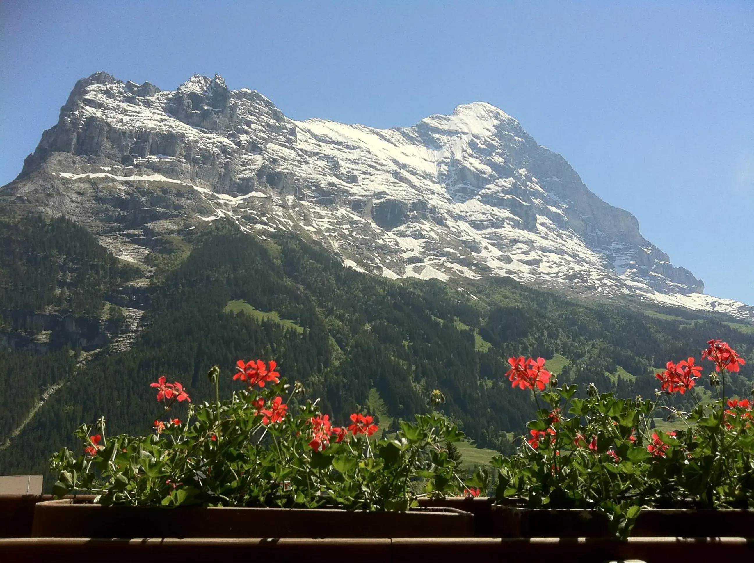 View (from property/room), Mountain View in Hotel Bernerhof Grindelwald