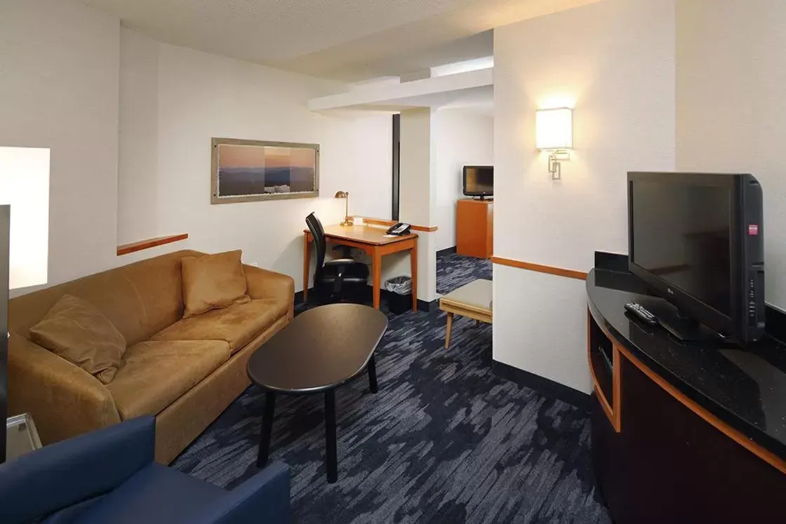 Seating area, TV/Entertainment Center in Fairfield Inn & Suites by Marriott Millville Vineland