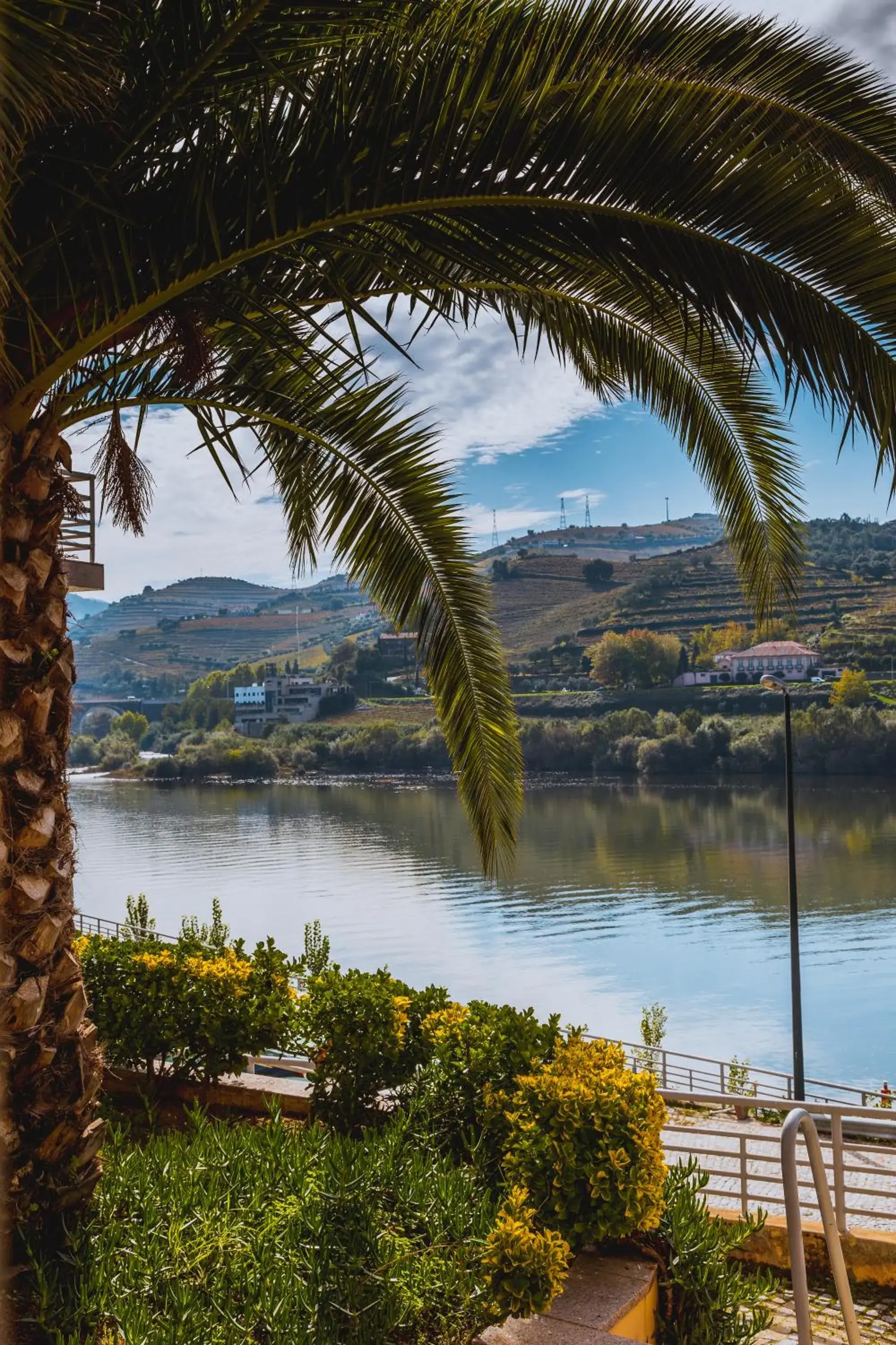 Area and facilities in Hotel Regua Douro