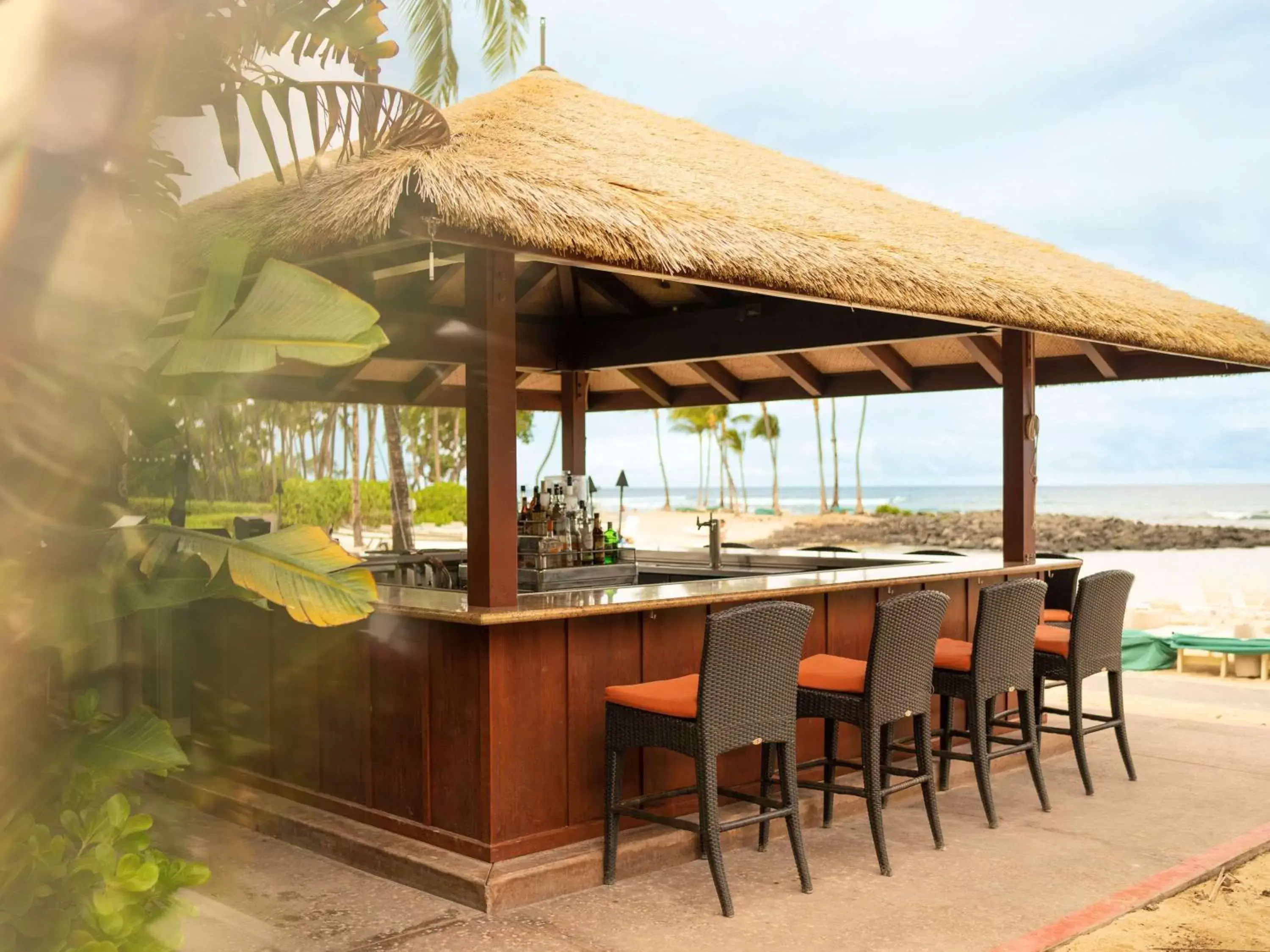 Lounge or bar, Restaurant/Places to Eat in Fairmont Orchid