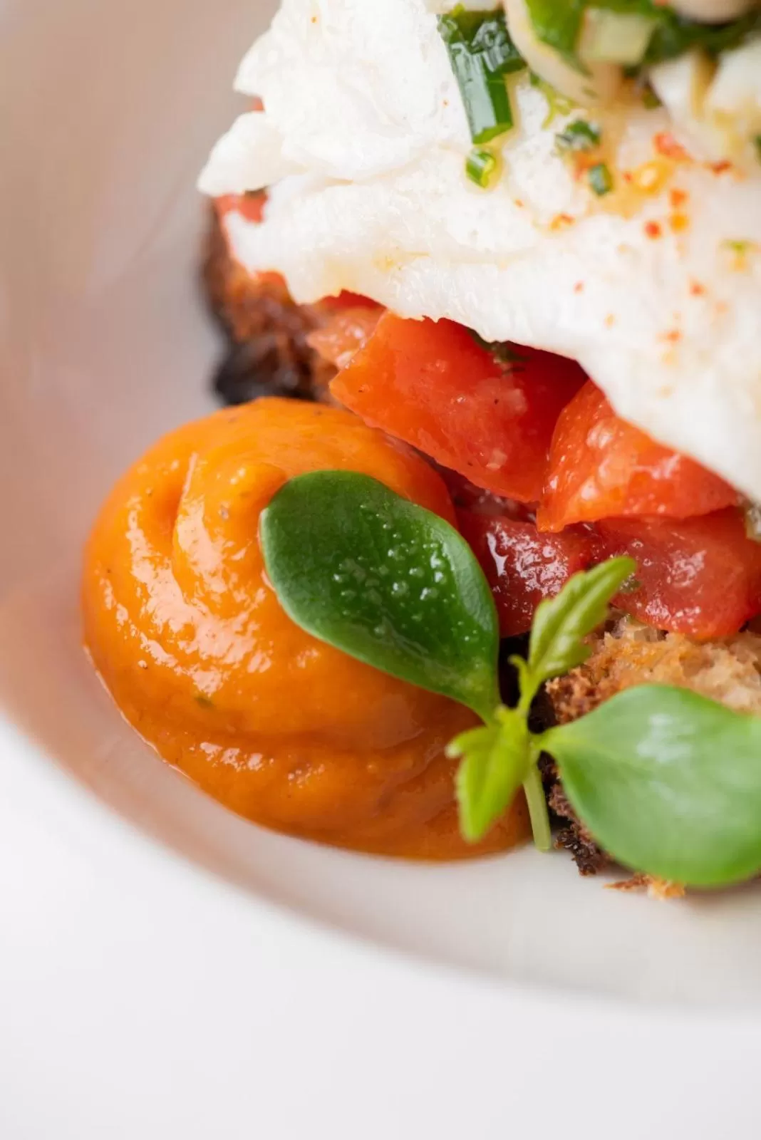 Food in Domaine la Pierre Blanche