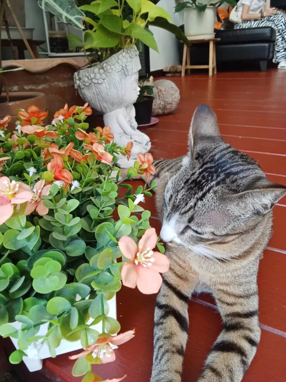 Property building in Vlodge House