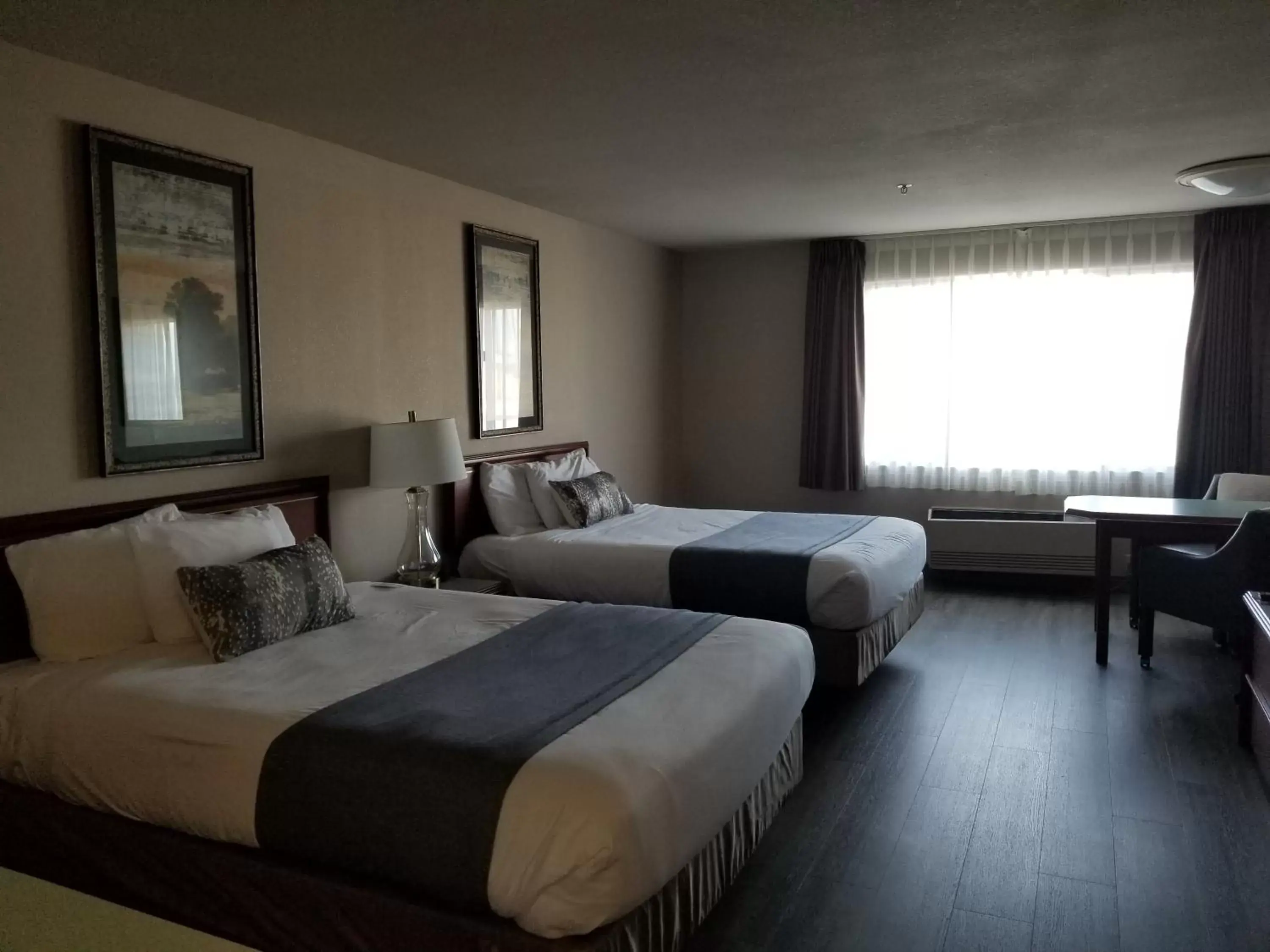 Bed in Shilo Inn Suites Salem