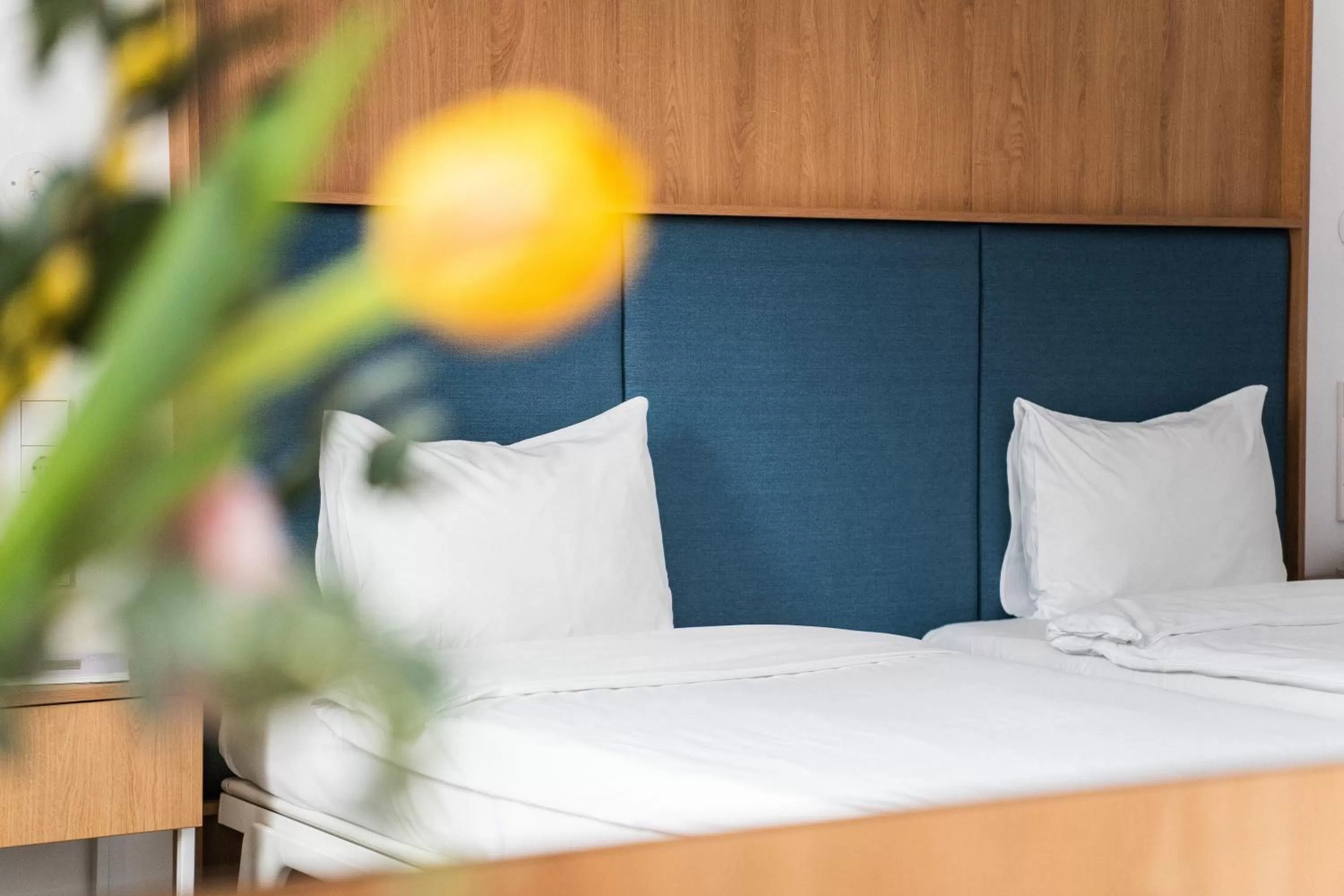 Bed in Hotel Kitchen59