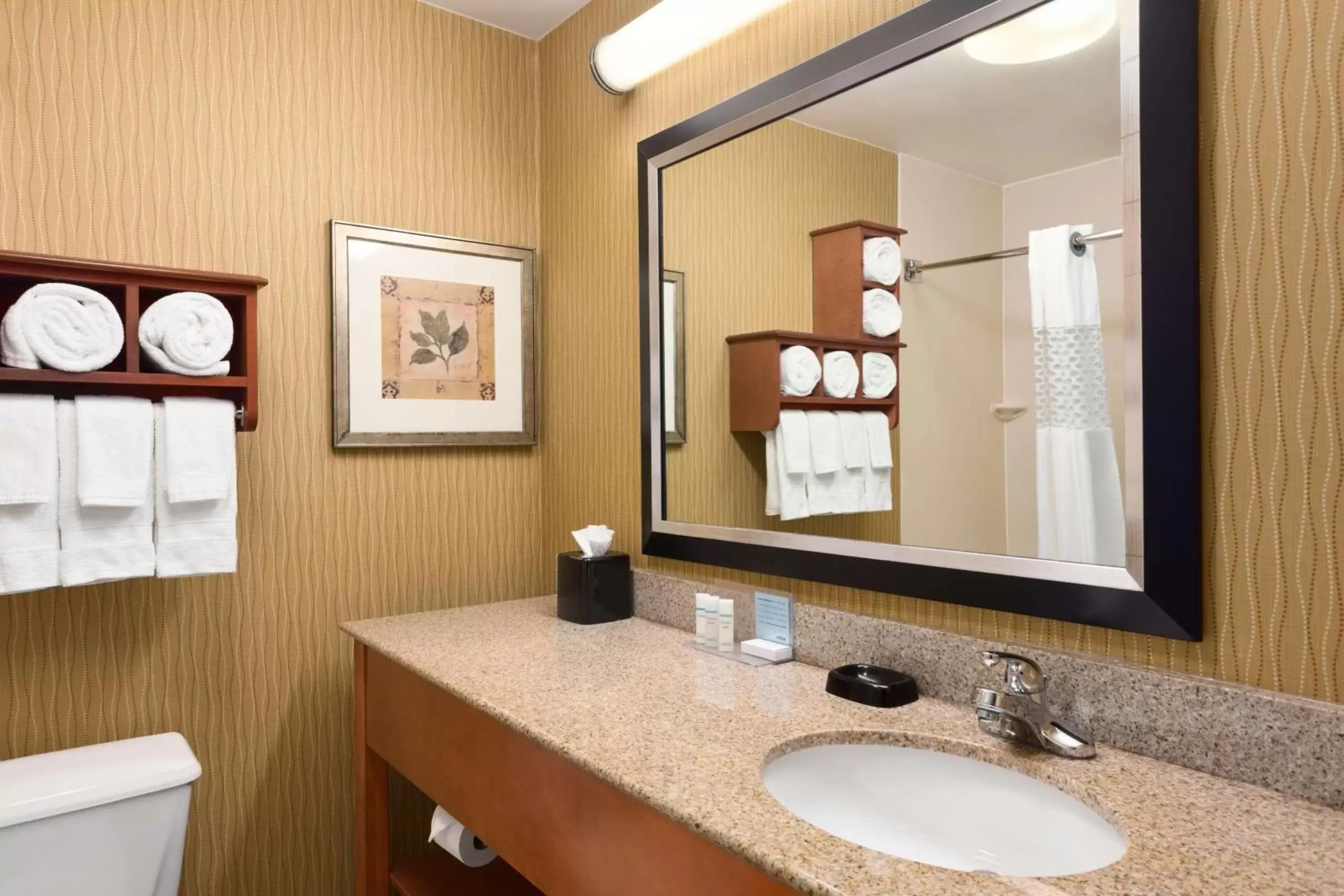 Bathroom in Hampton Inn Wichita-East