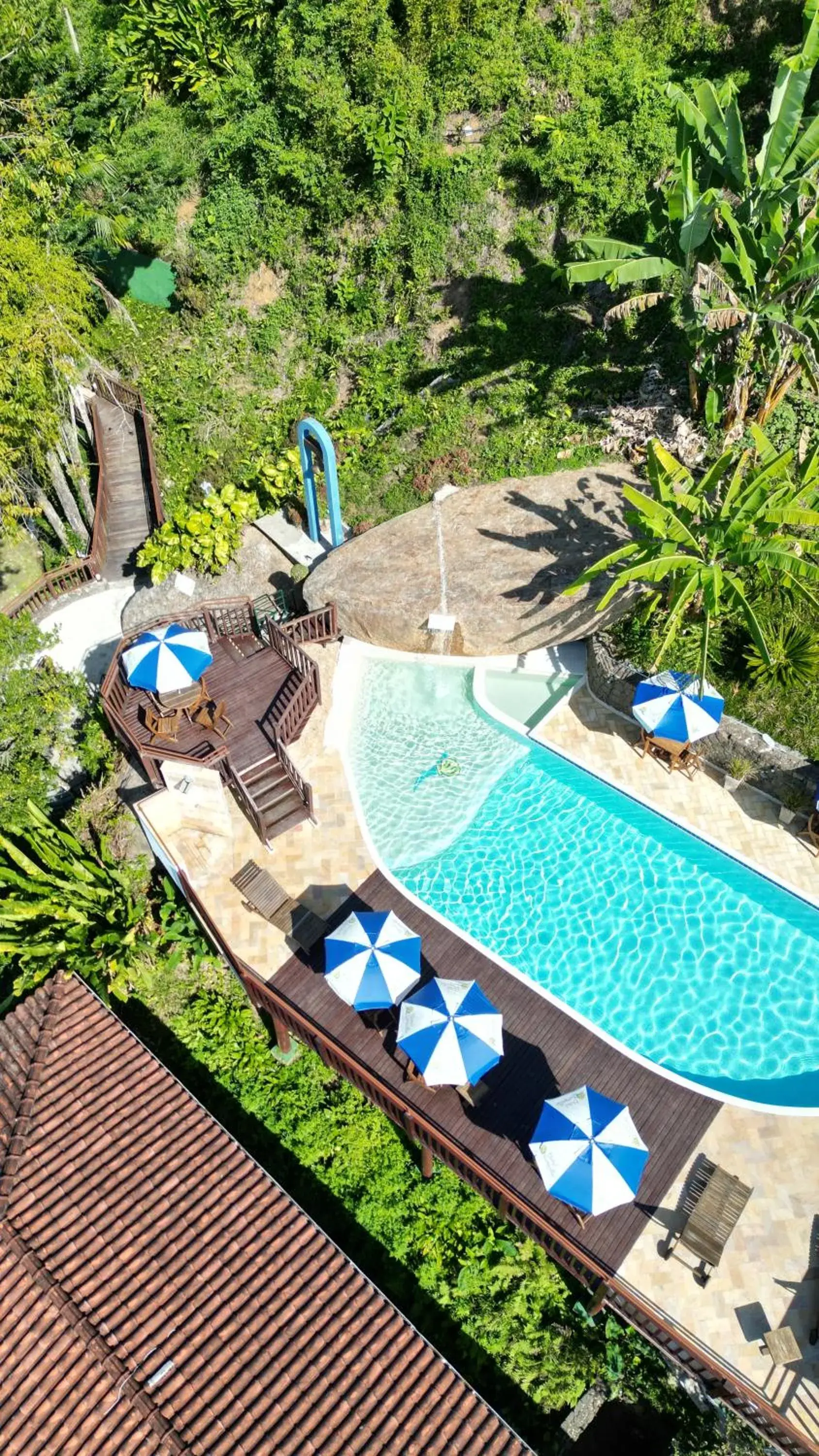 Swimming pool, Pool View in Hotel Coquille