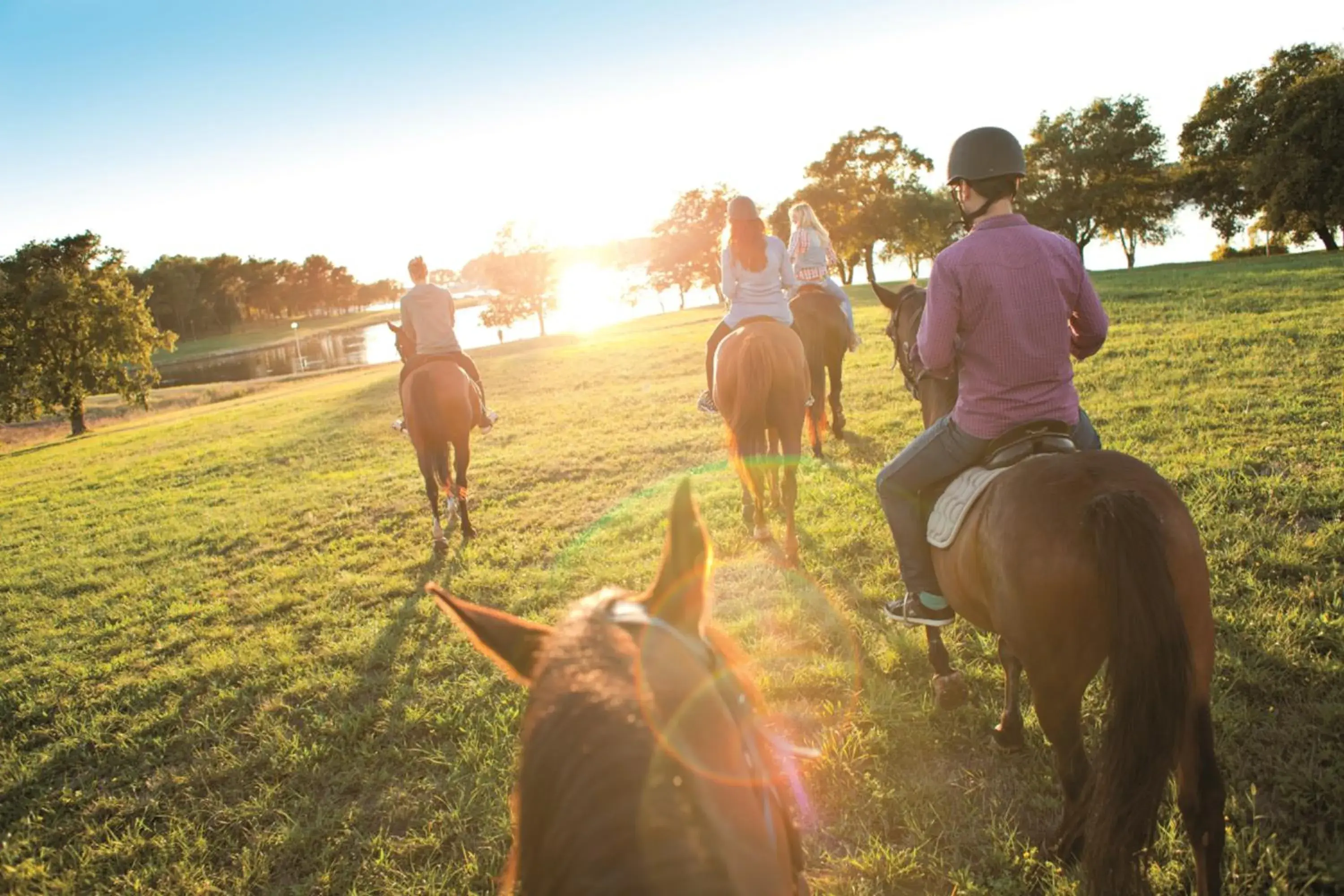 Activities, Horseback Riding in Valamar Riviera Hotel & Residence