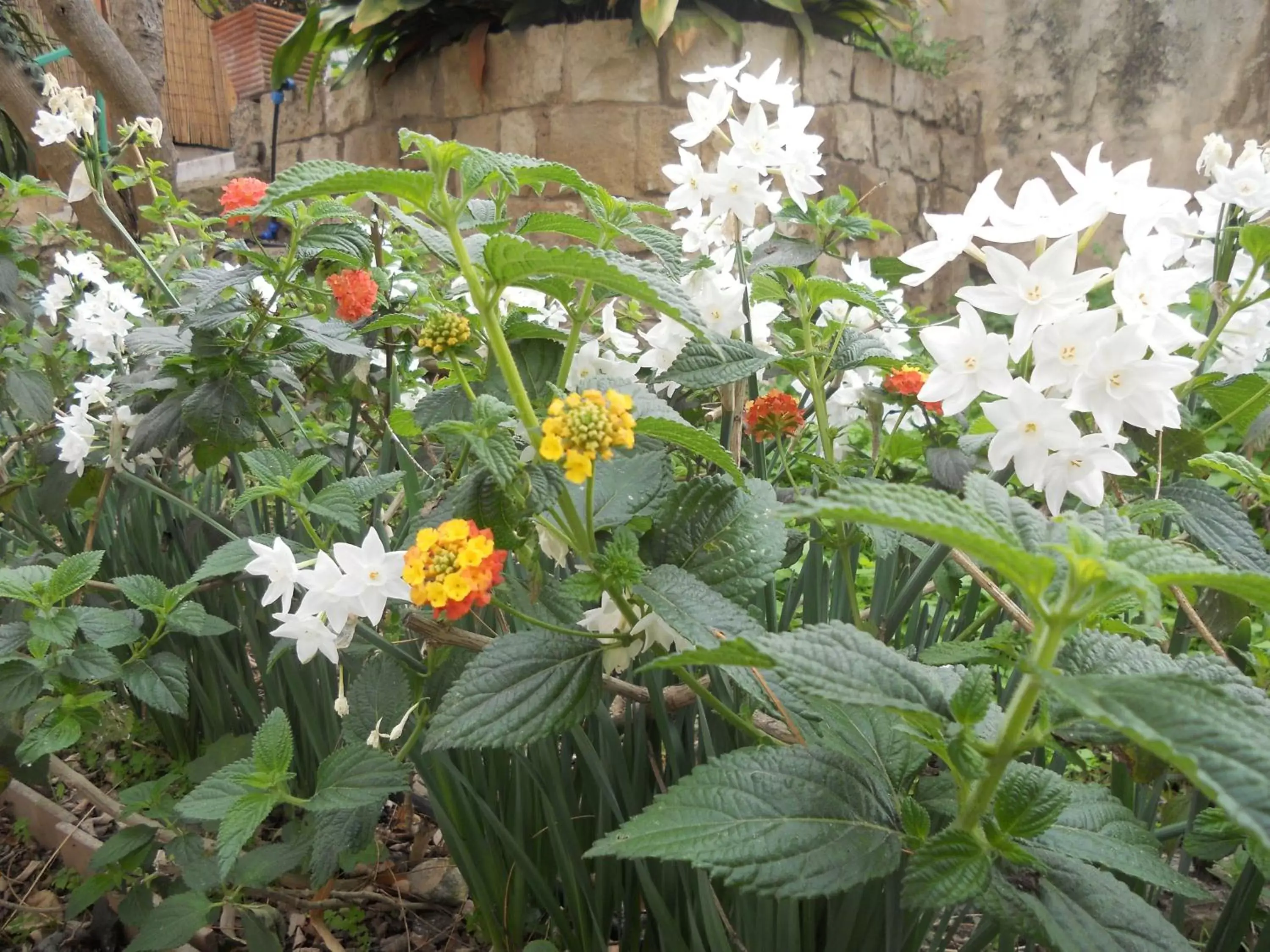 Garden in Locanda dei Buoni e Cattivi