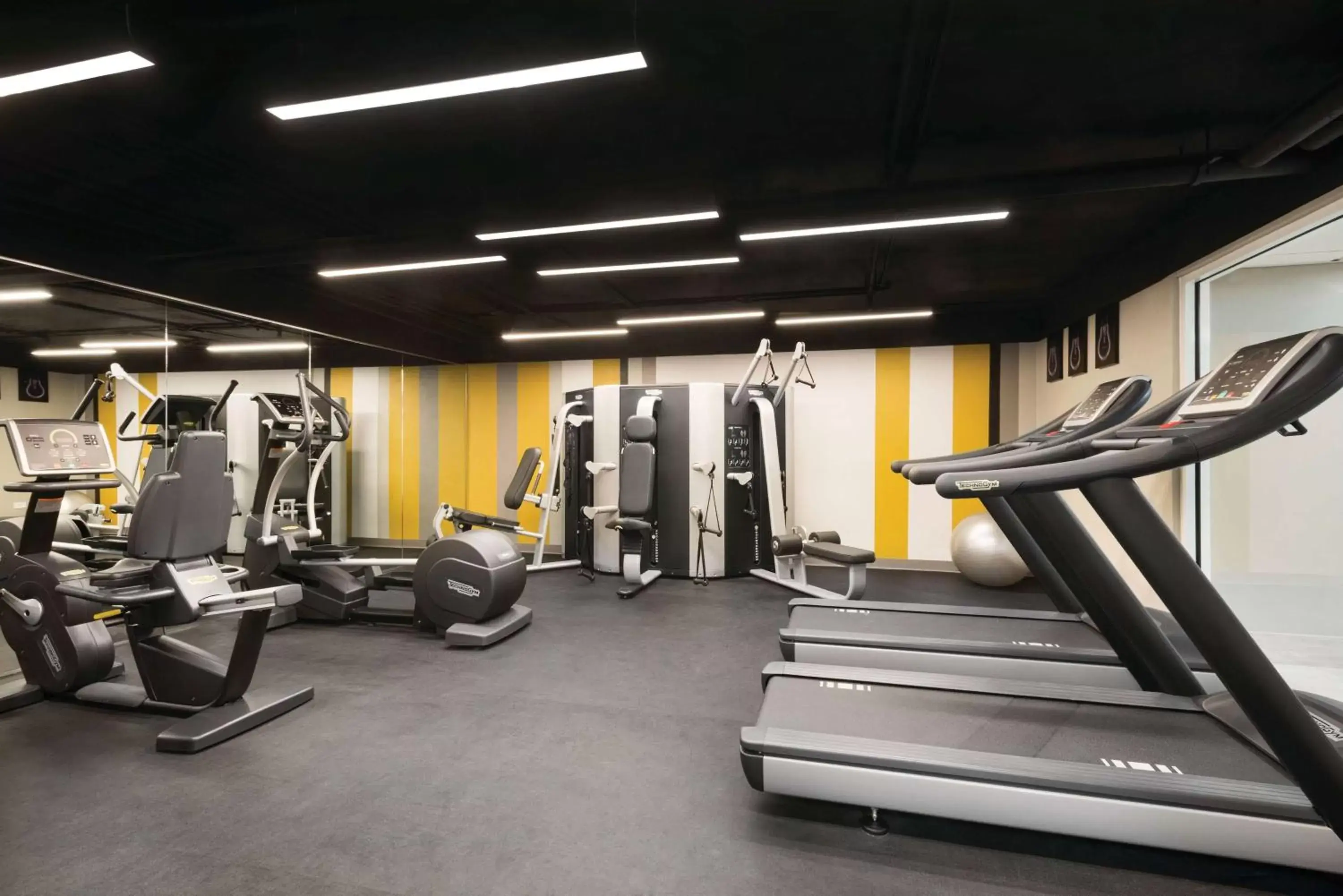 Activities, Fitness Center/Facilities in TRYP by Wyndham Isla Verde