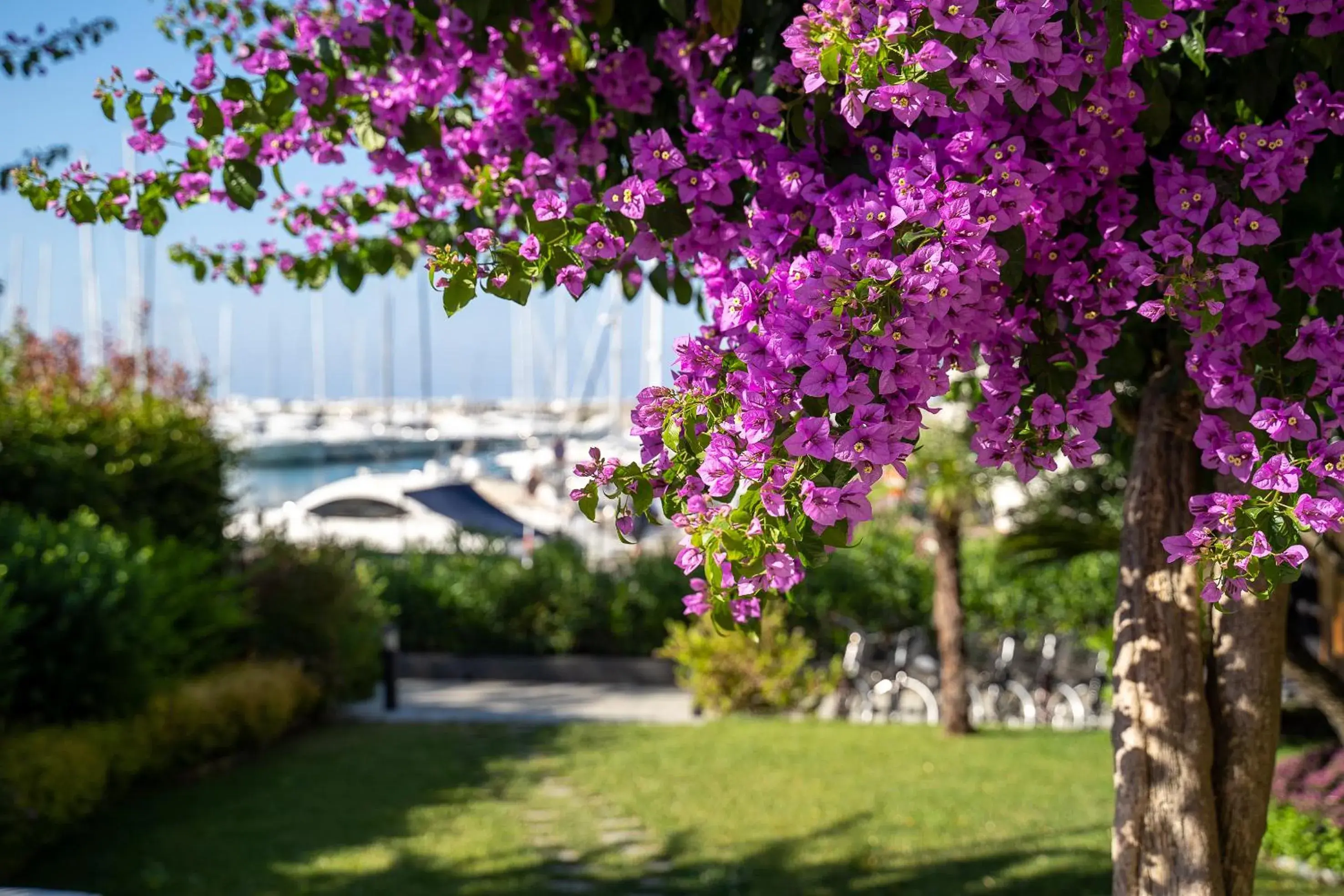 Garden in Blu Hotel