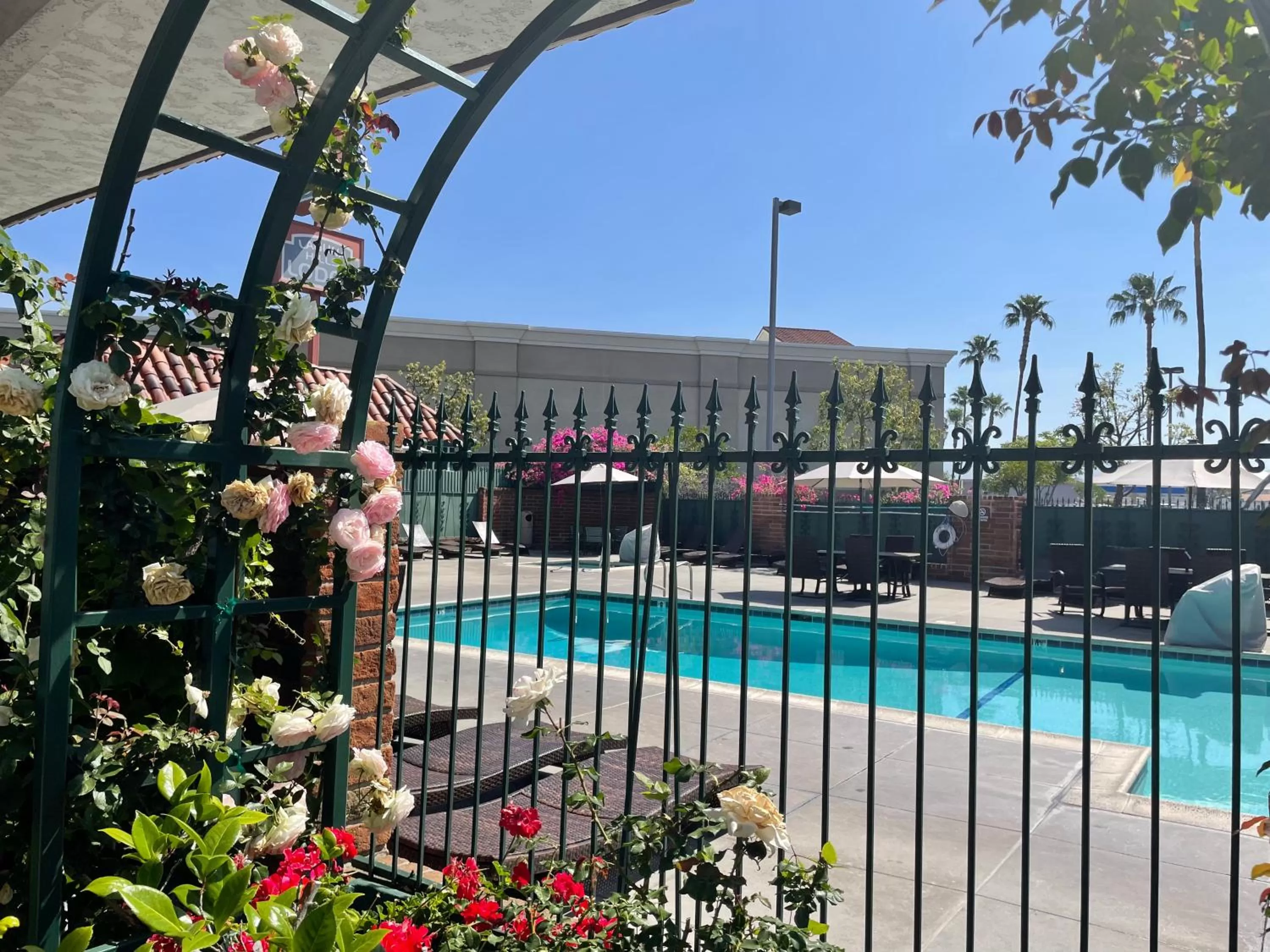 Swimming pool in Laguna Hills Lodge-Irvine Spectrum
